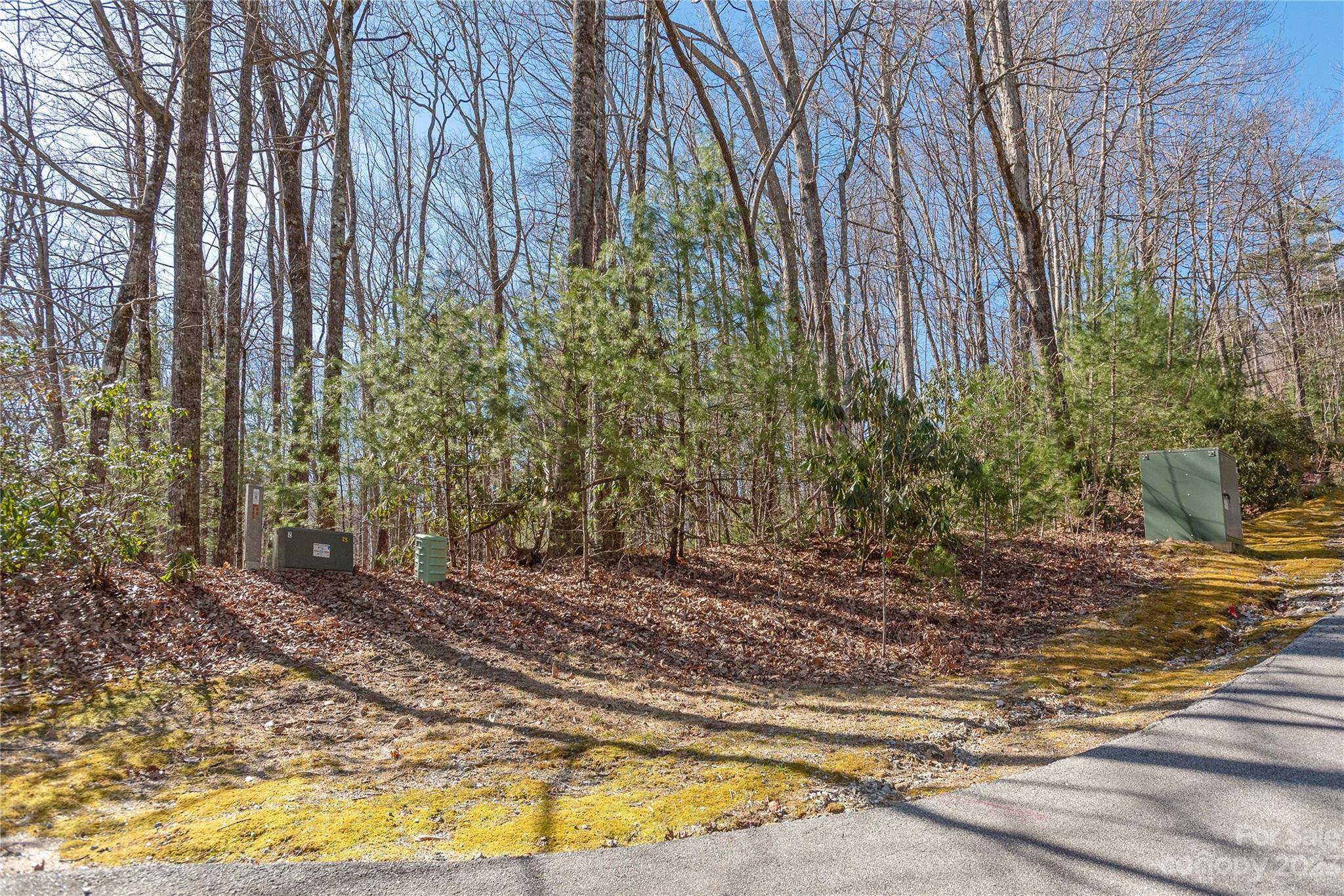 Sapphire, NC 28774,Lot 35 Trillium CT