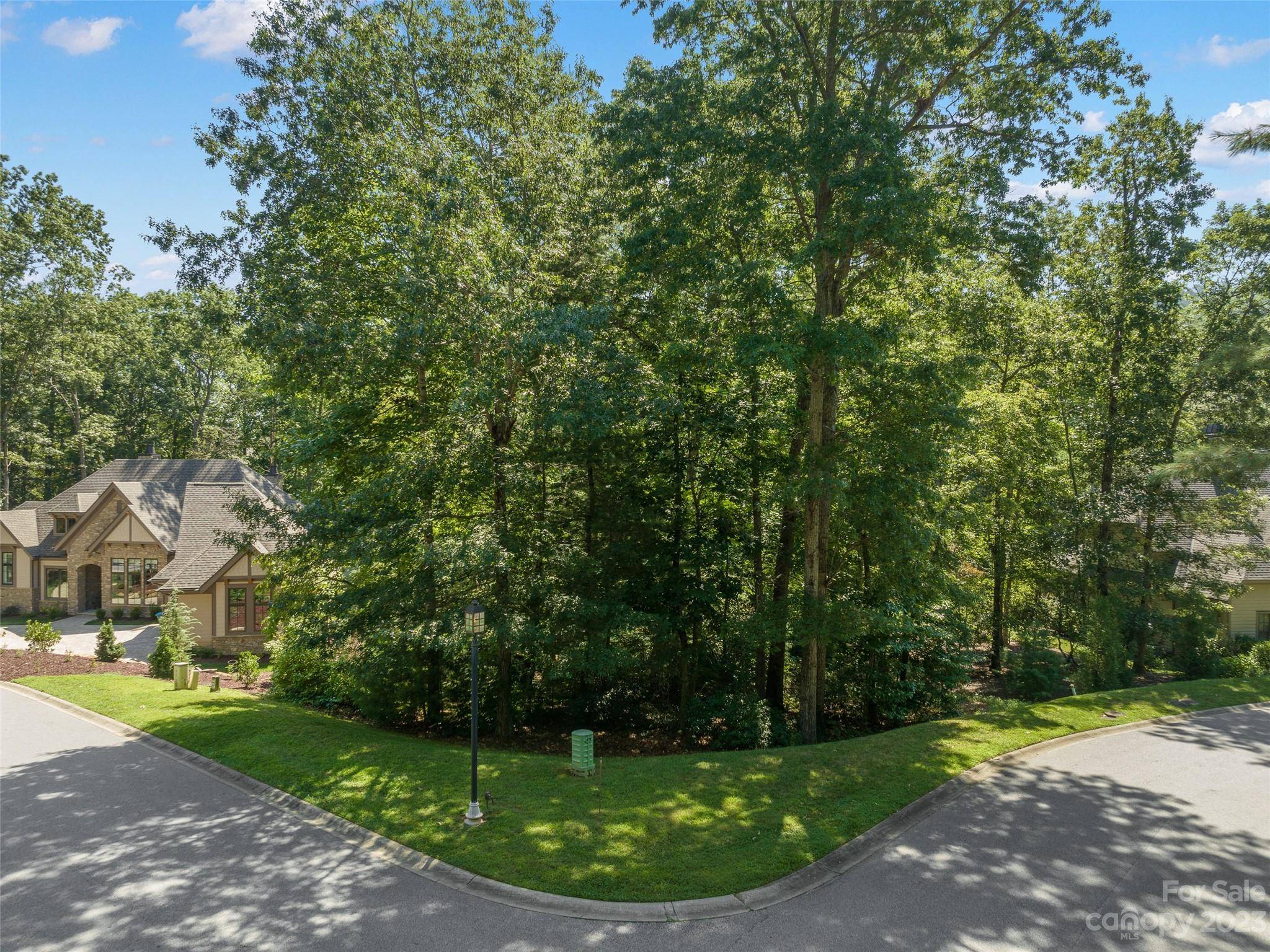 Arden, NC 28704,1 Mountain Orchid WAY