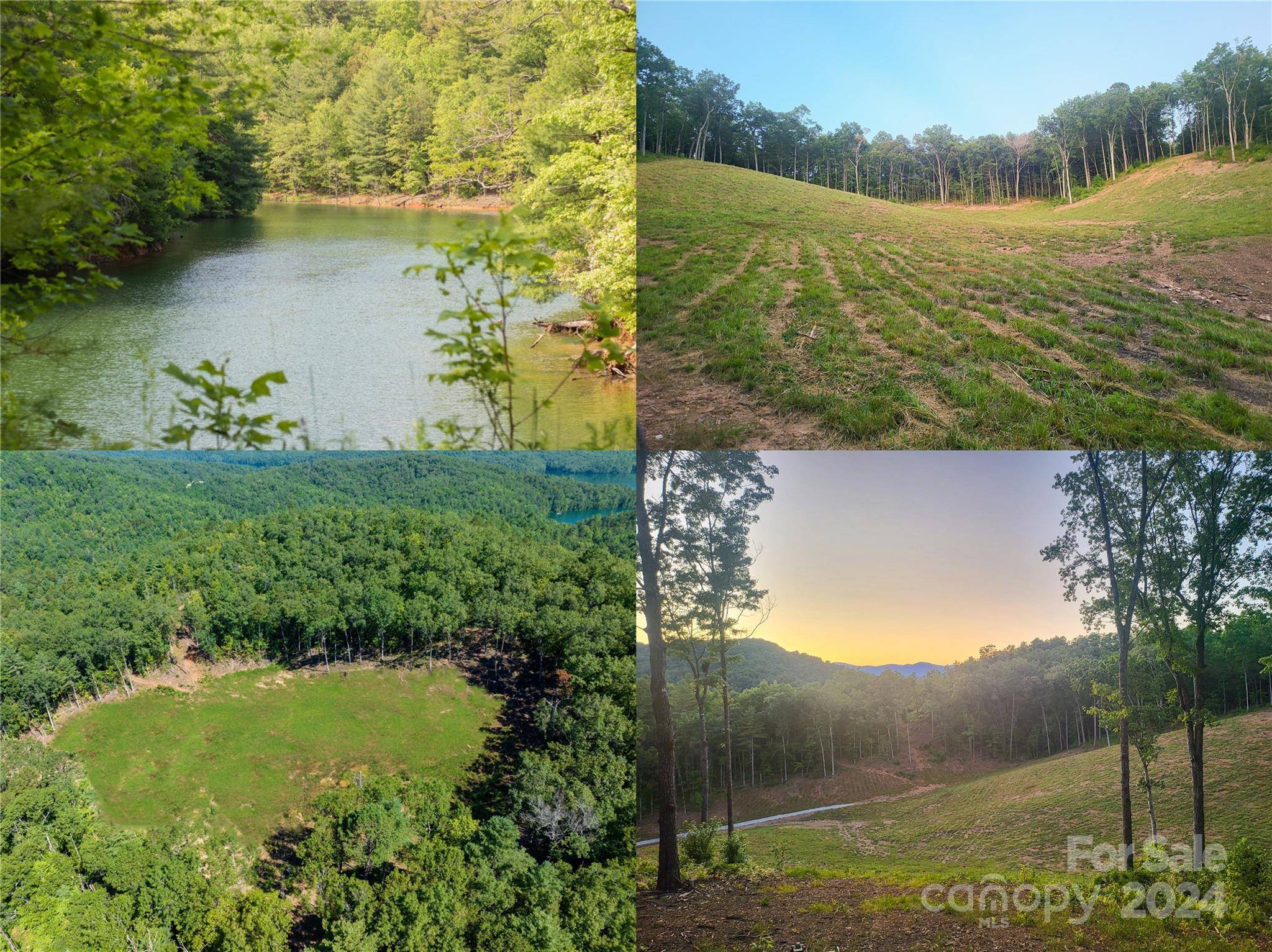 Robbinsville, NC 28771,TBD Old Yellow Circle RD