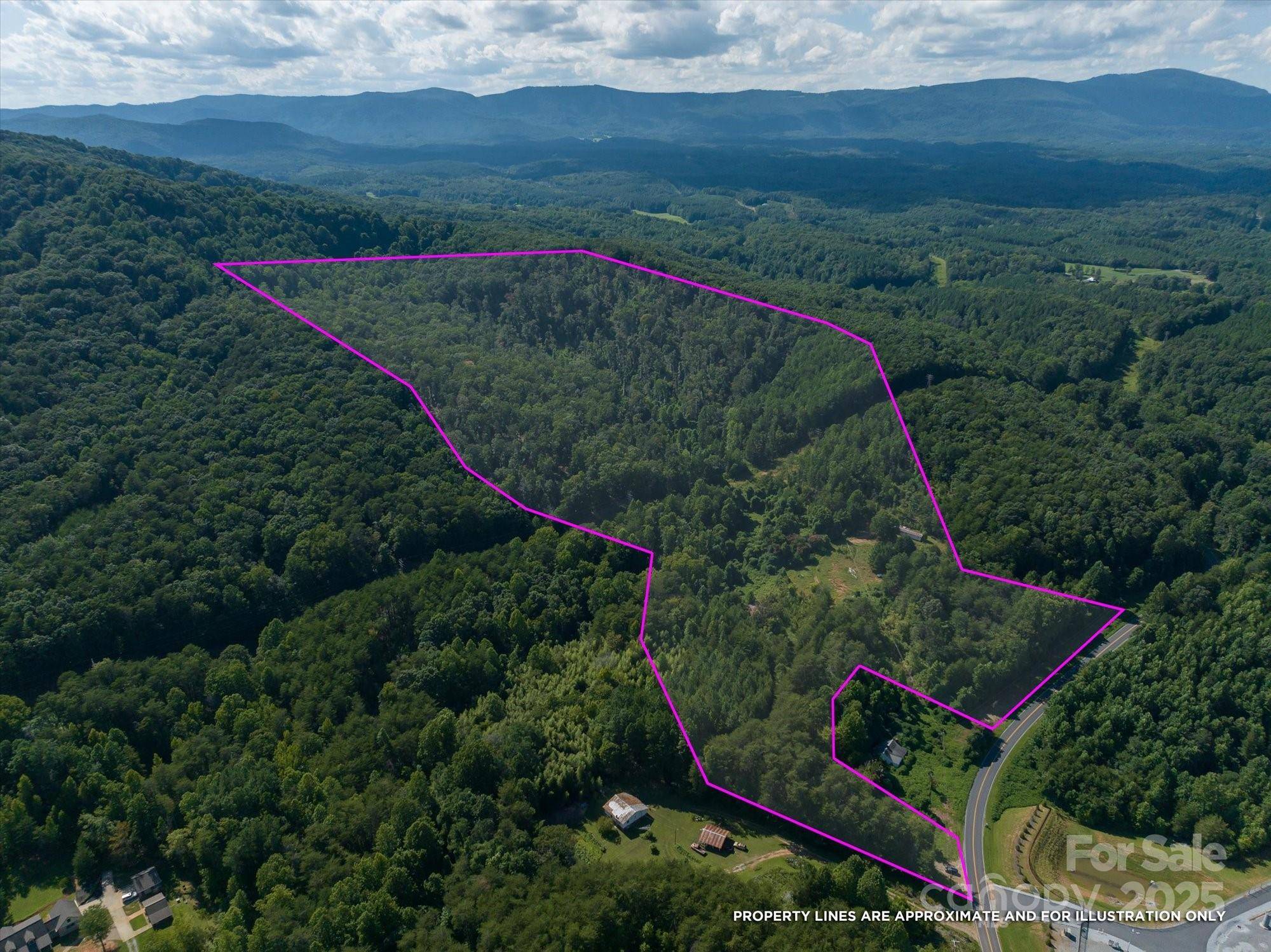 Mill Spring, NC 28756,823 Silver Creek RD