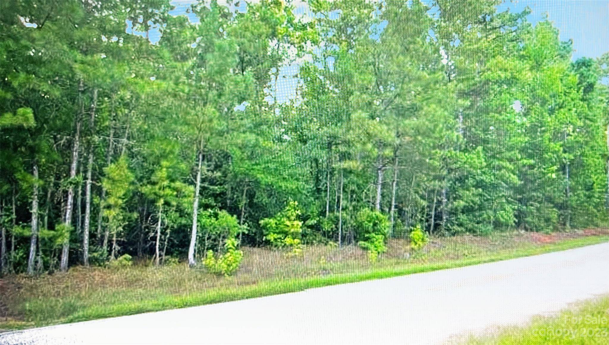Rockingham, NC 28379,Lot 8 Blewett Falls RD #8