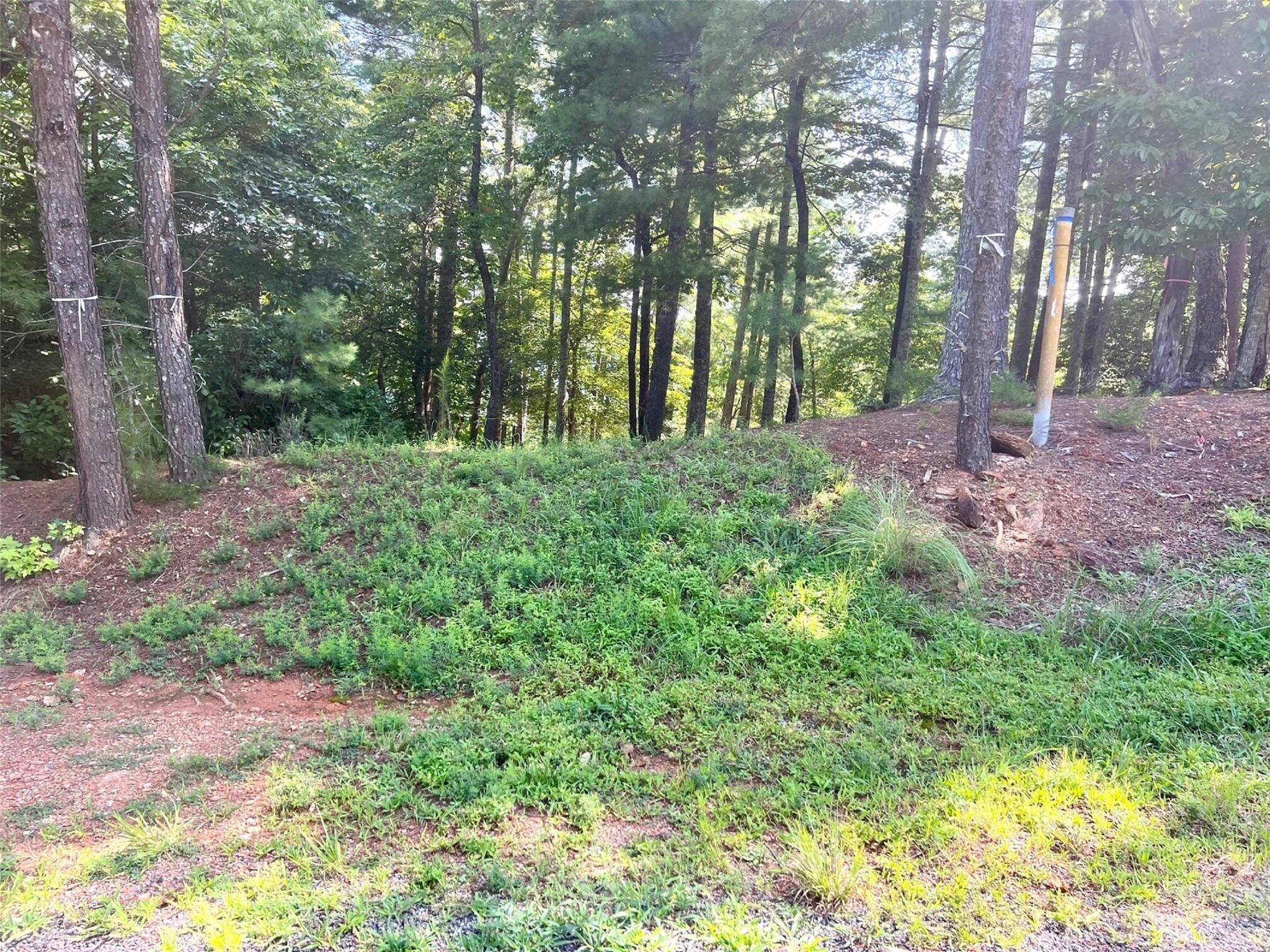 Nebo, NC 28761,Lot 53 Lake James DR #53