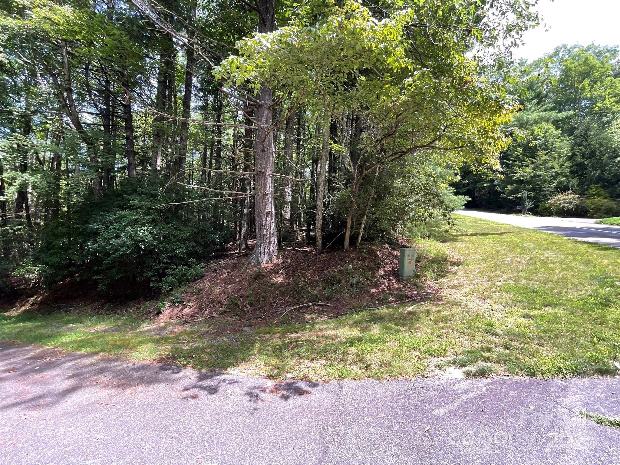 Brevard, NC 28712,406 Tlvdatsi DR