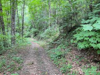 Burnsville, NC 28714,000 Blackberry LN