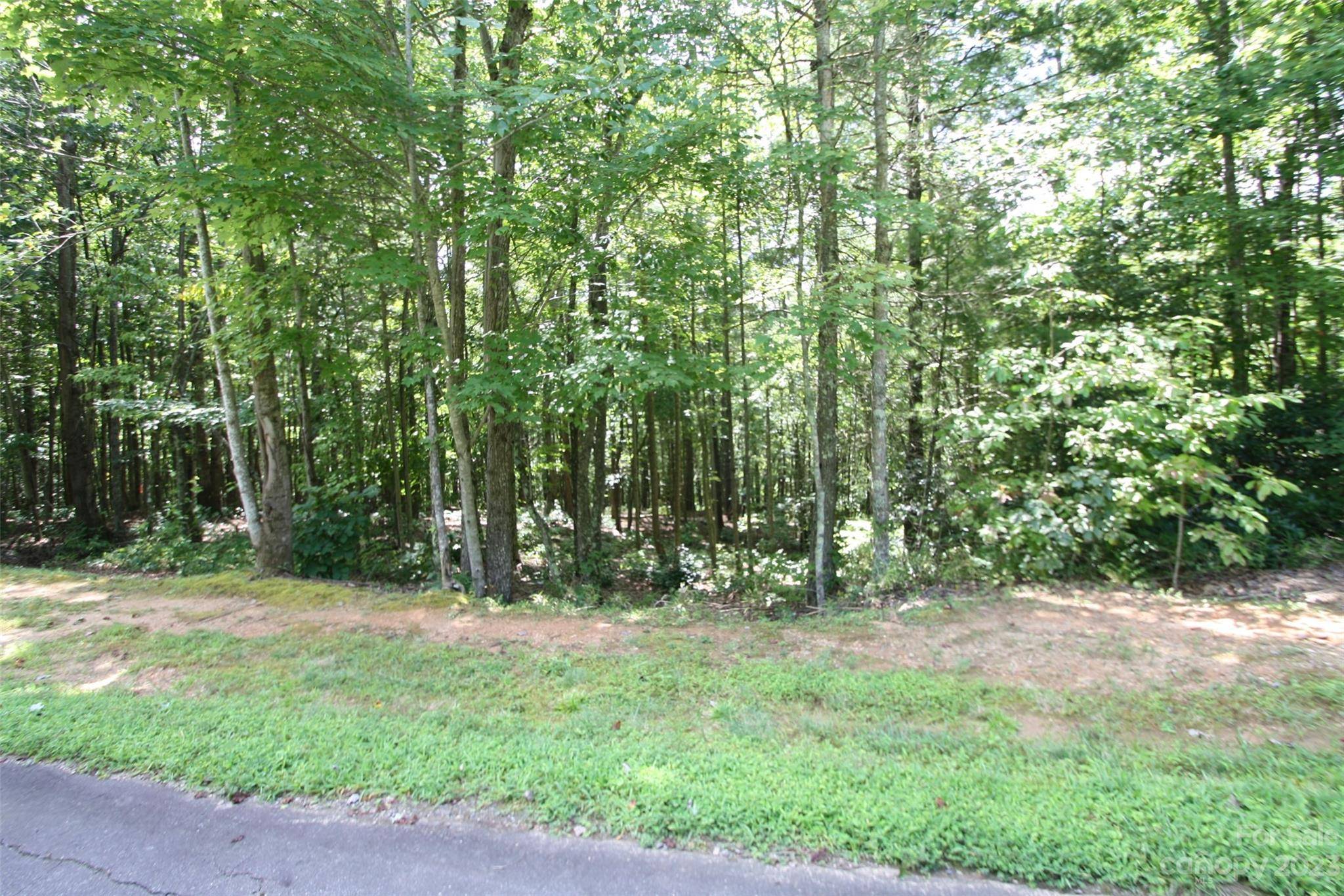 Lenoir, NC 28645,TBD Poplar Bluff DR #41