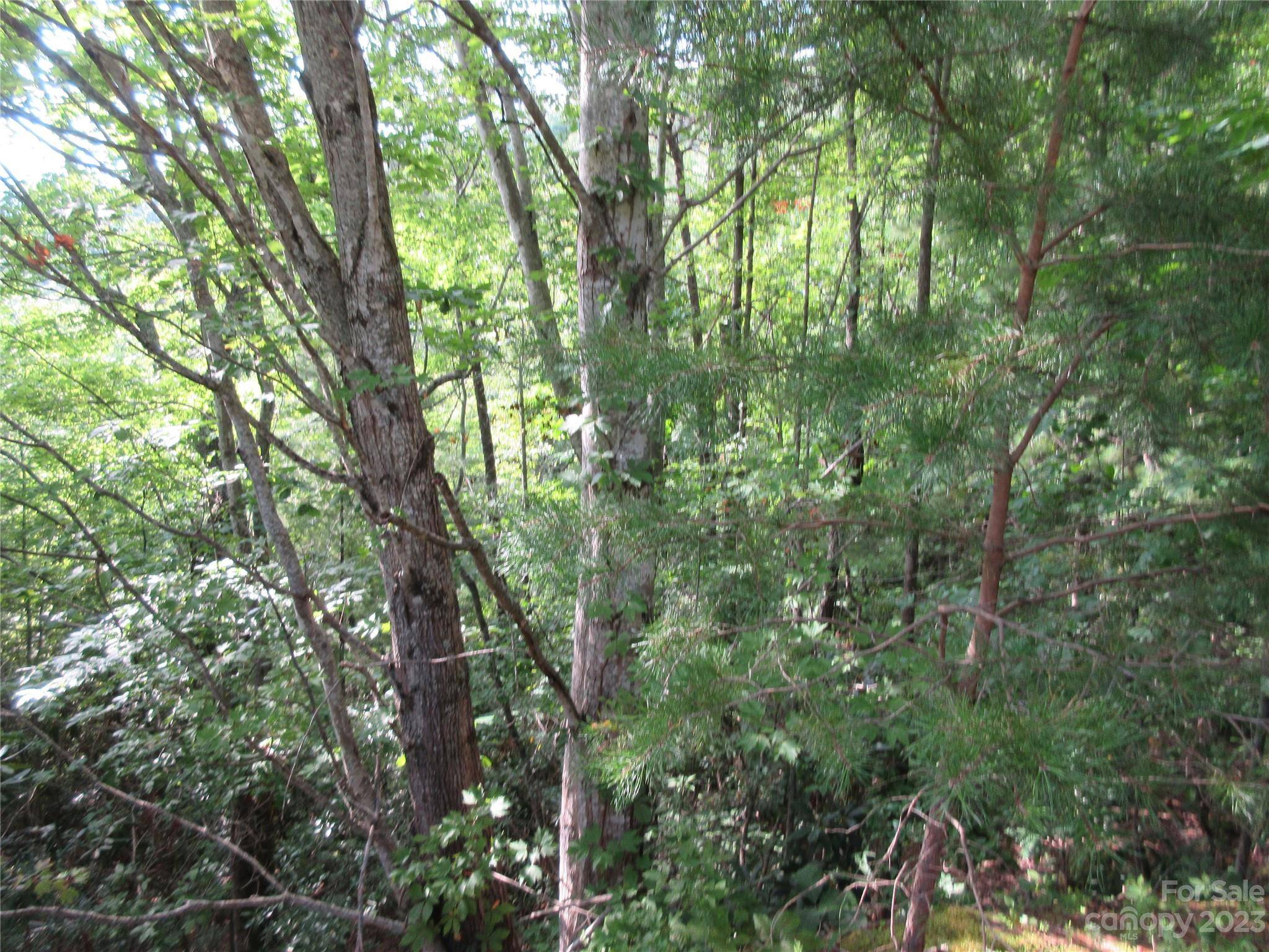 Marion, NC 28752,Lot 28 Linville DR