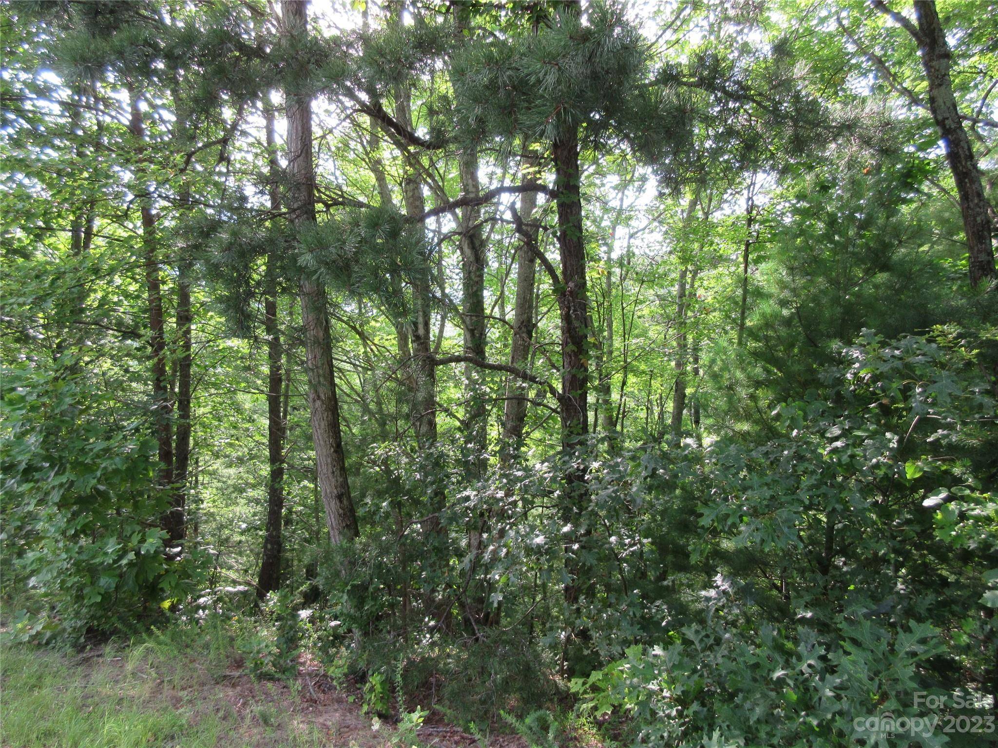 Marion, NC 28752,Lot 29 Linville DR