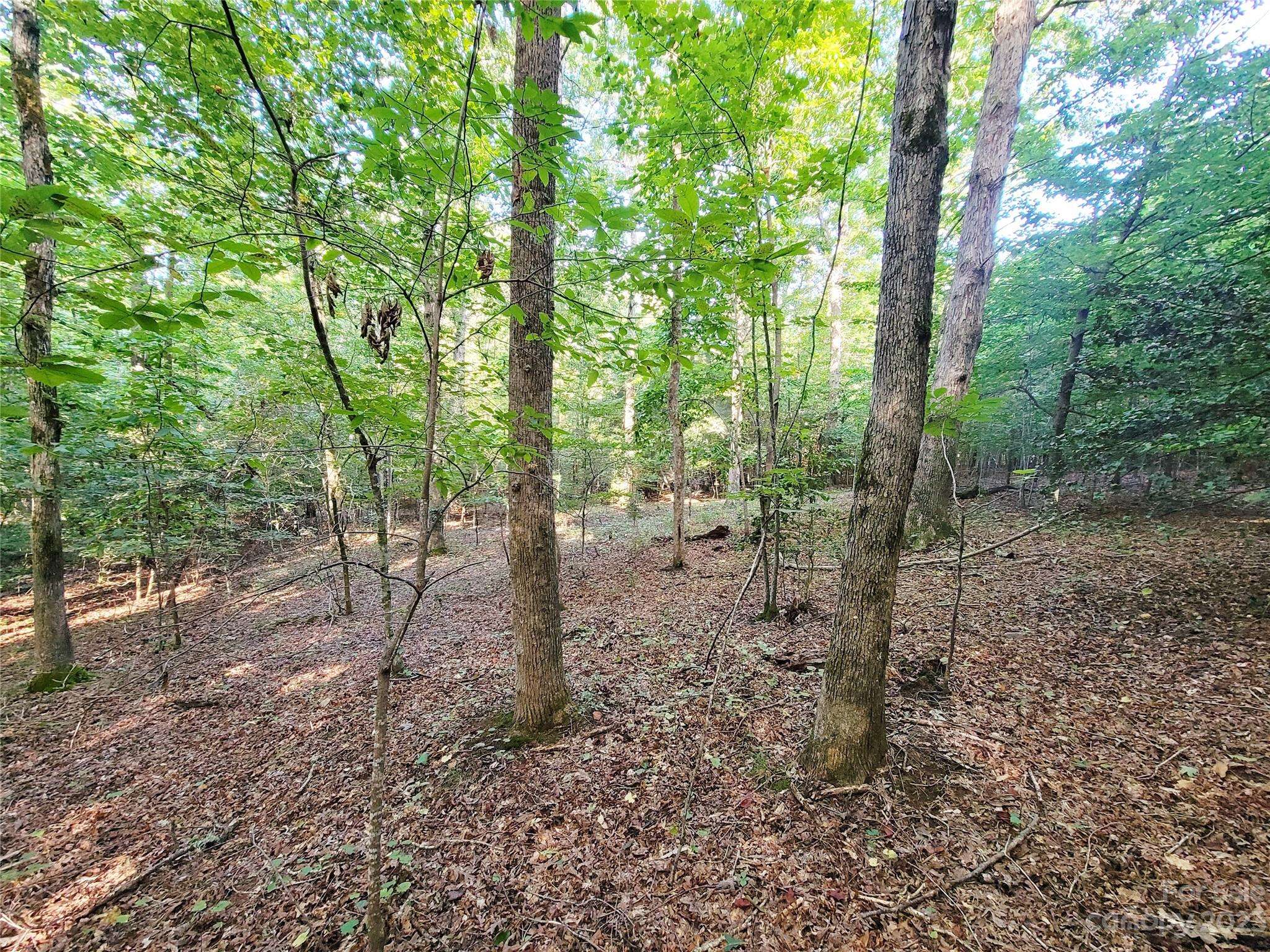 Tryon, NC 28782,000 Bill Collins RD #4.73 AC