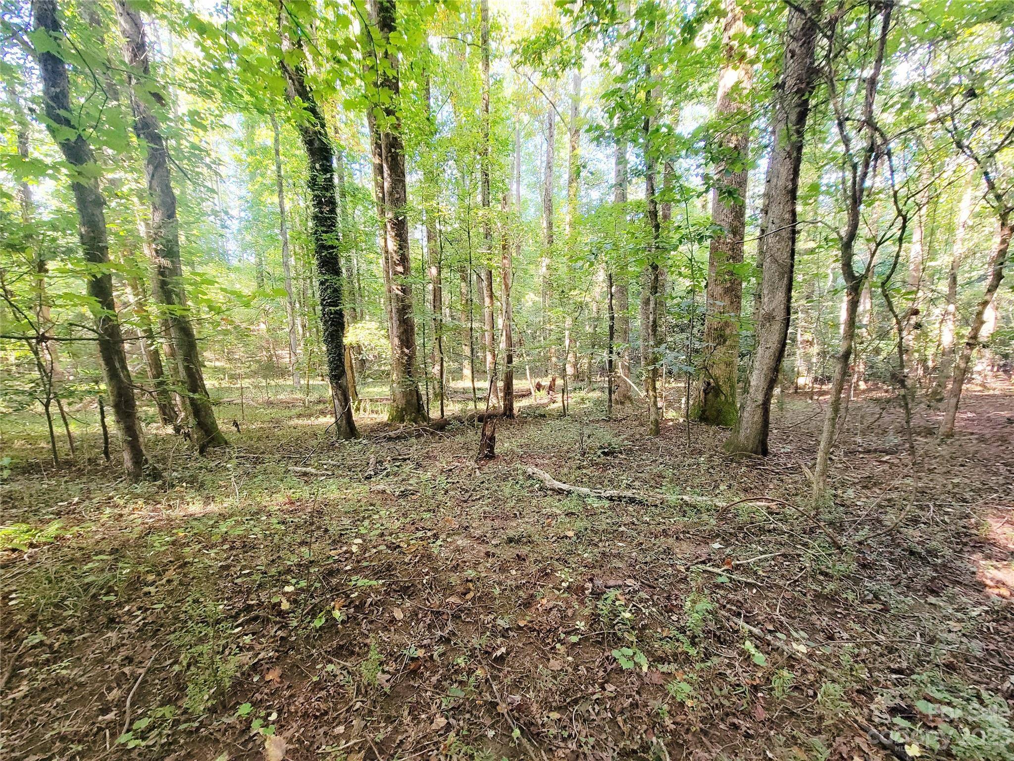 Tryon, NC 28782,000 Bill Collins RD #4.73 AC