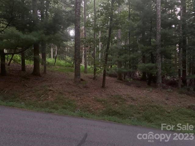 Flat Rock, NC 28731,(0.86ac) LAKEMONT DR