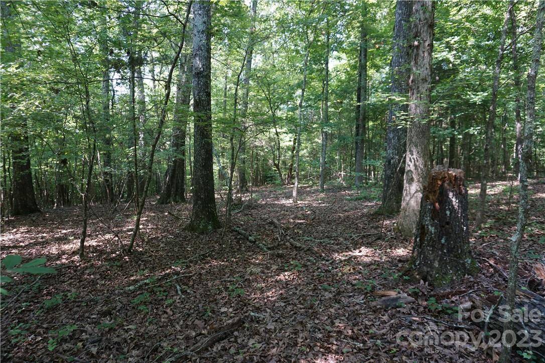 Sharon, SC 29742,20 +/- AC Shillinglaw RD