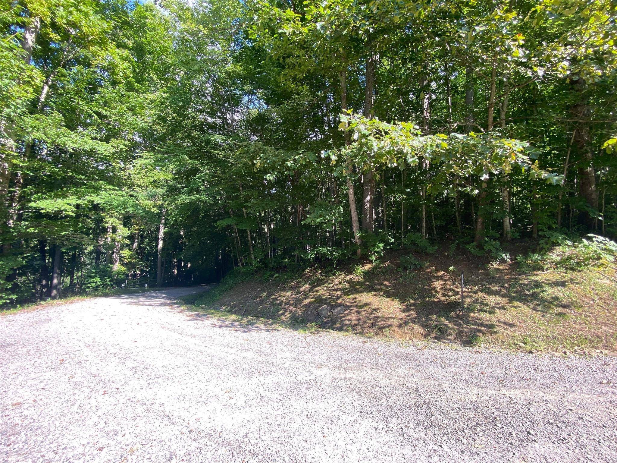 Maggie Valley, NC 28751,00000 Emerald LN #9
