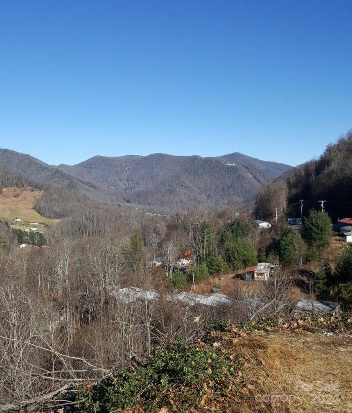 Maggie Valley, NC 28751,0 Soco RD