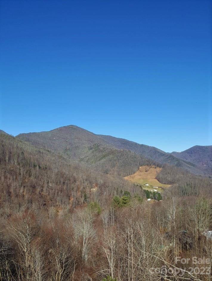 Maggie Valley, NC 28751,0 Soco RD