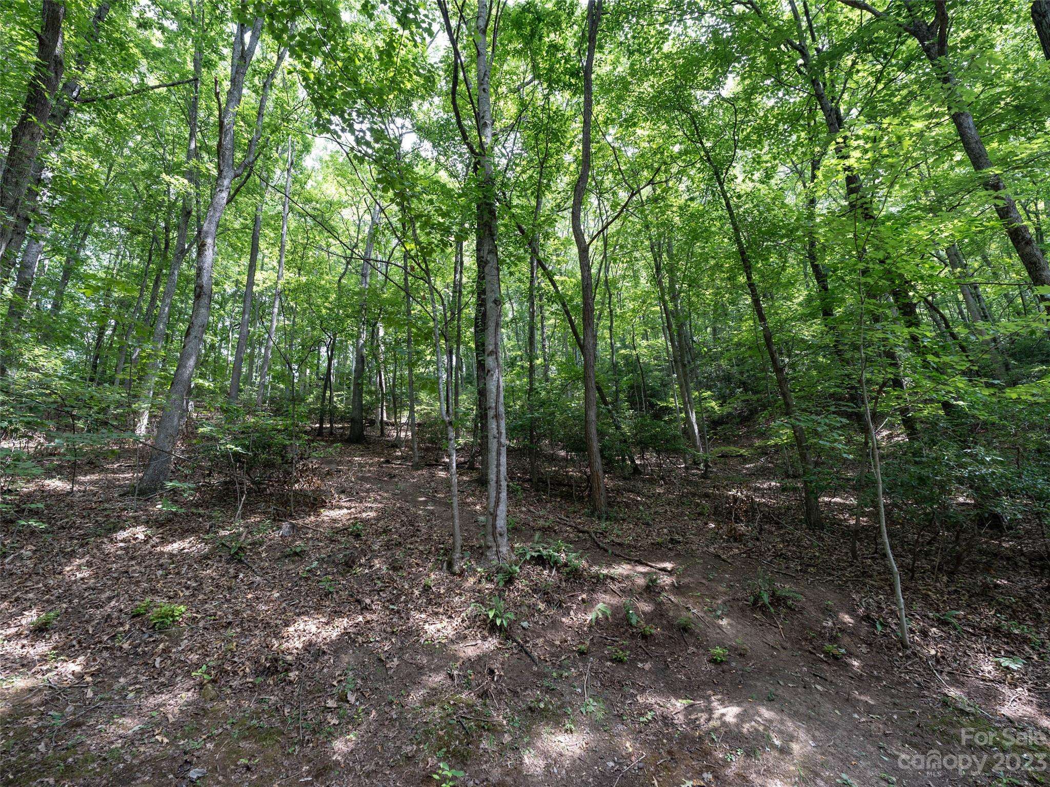 Waynesville, NC 28786,00 Grouse Ridge RD #1