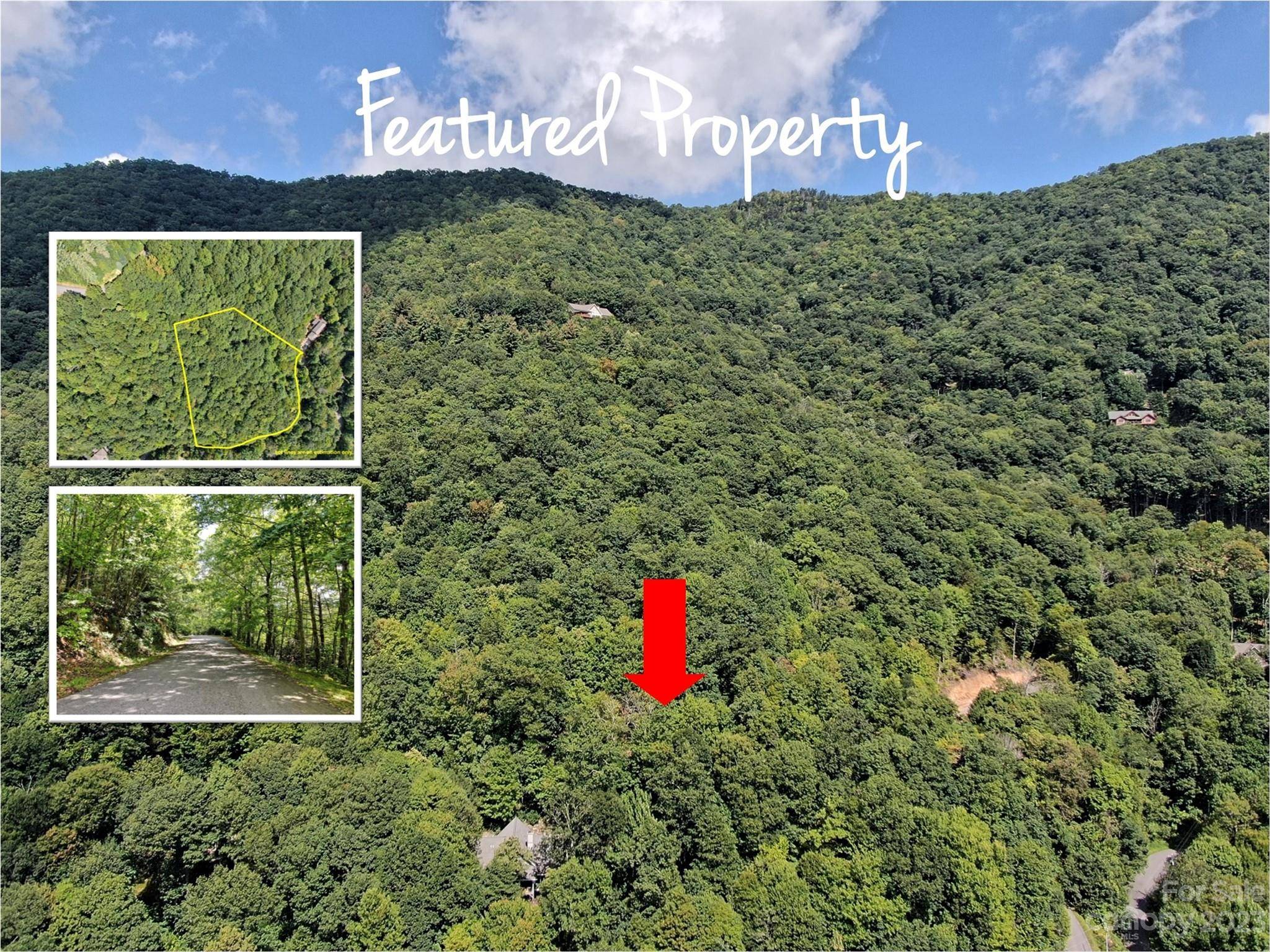 Waynesville, NC 28786,0 Winding Creek DR #289