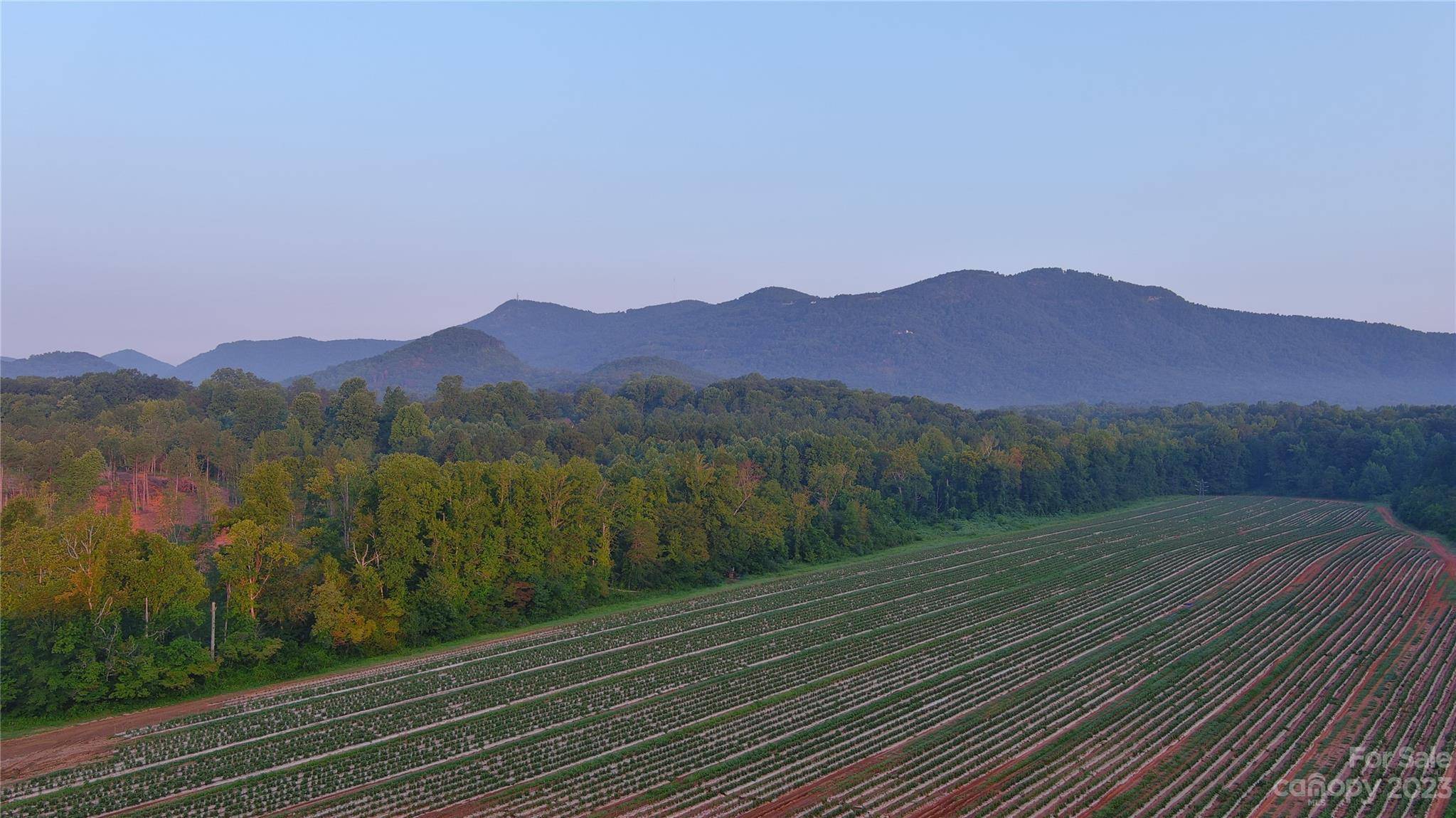 Columbus, NC 28722,0 Fox Mountain RD #4