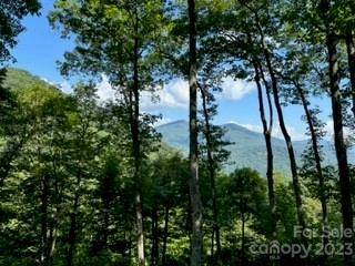 Maggie Valley, NC 28751,20 Tsalagi TRL