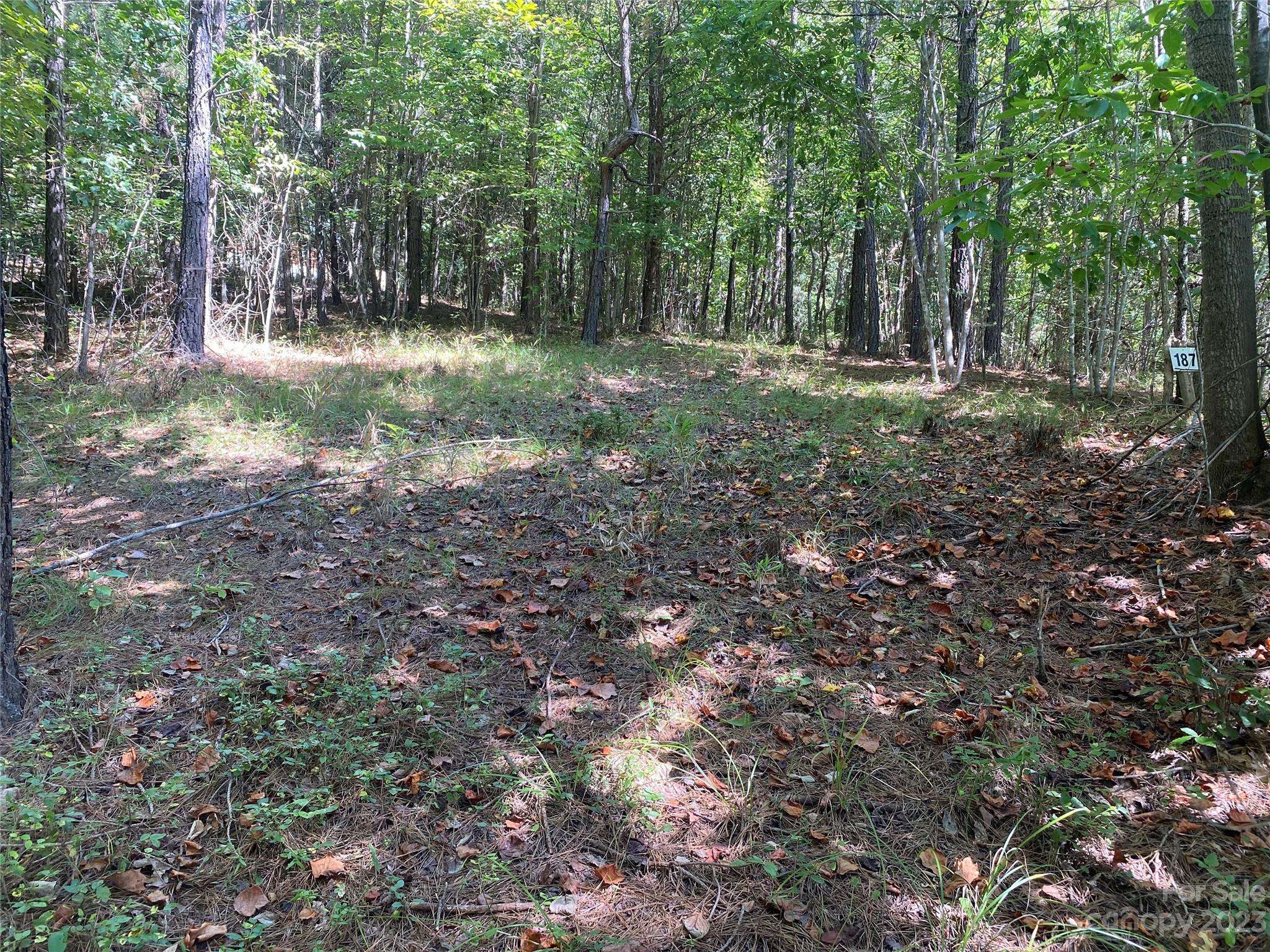 Rutherfordton, NC 28139,153 Chimney Creek LN