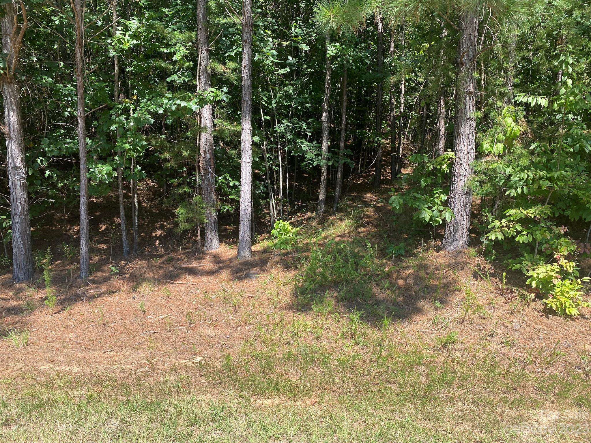 Rutherfordton, NC 28139,153 Chimney Creek LN