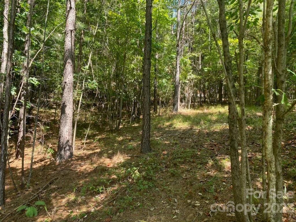 Rutherfordton, NC 28139,153 Chimney Creek LN
