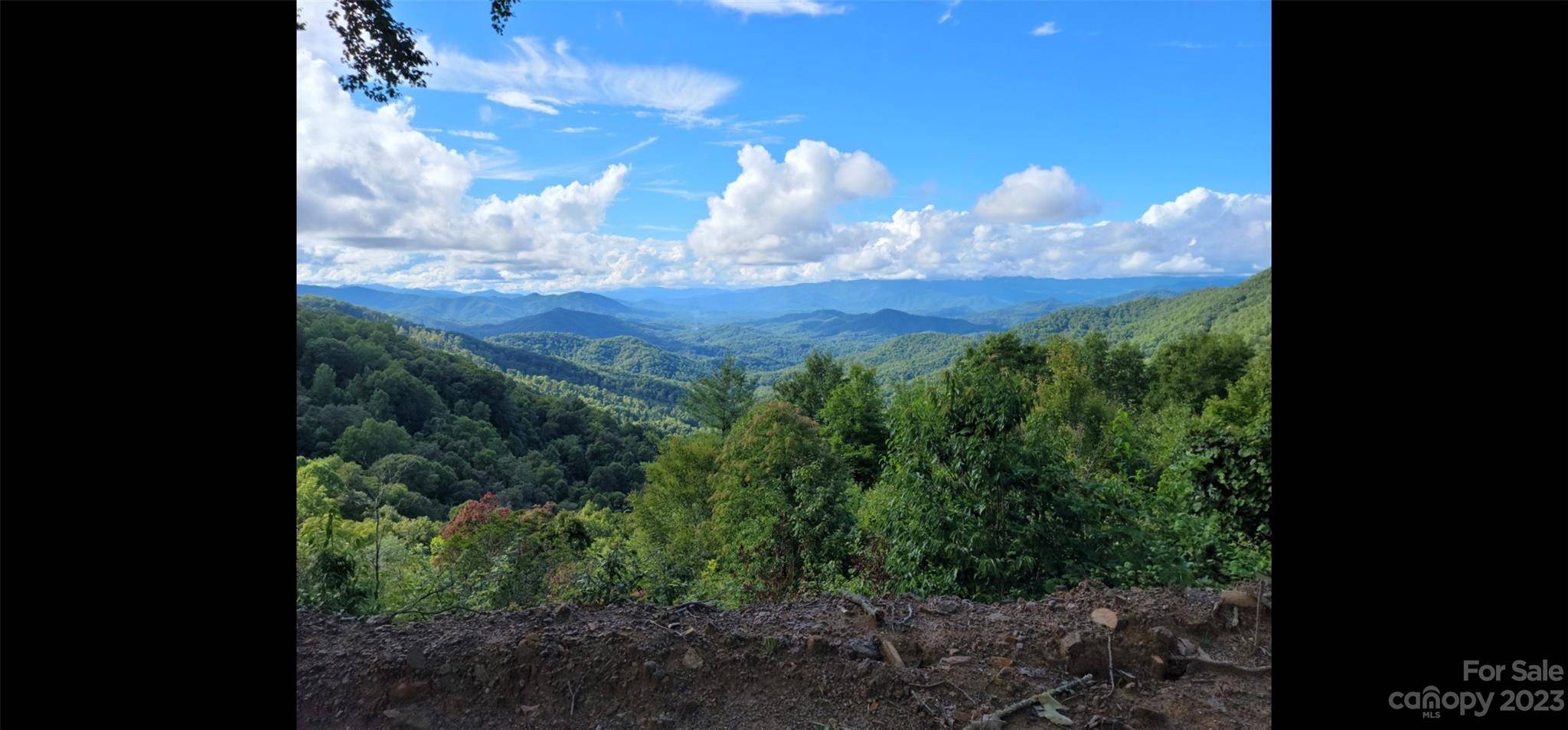 Bryson City, NC 28713,Lot 205 Battle Branch RD