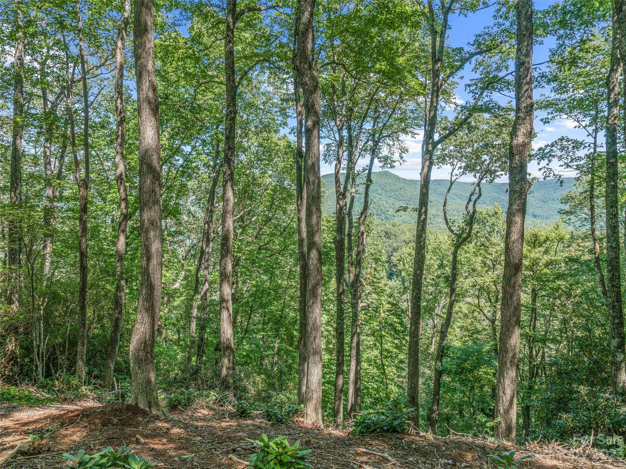 Burnsville, NC 28714,000 Winterstar LOOP #59