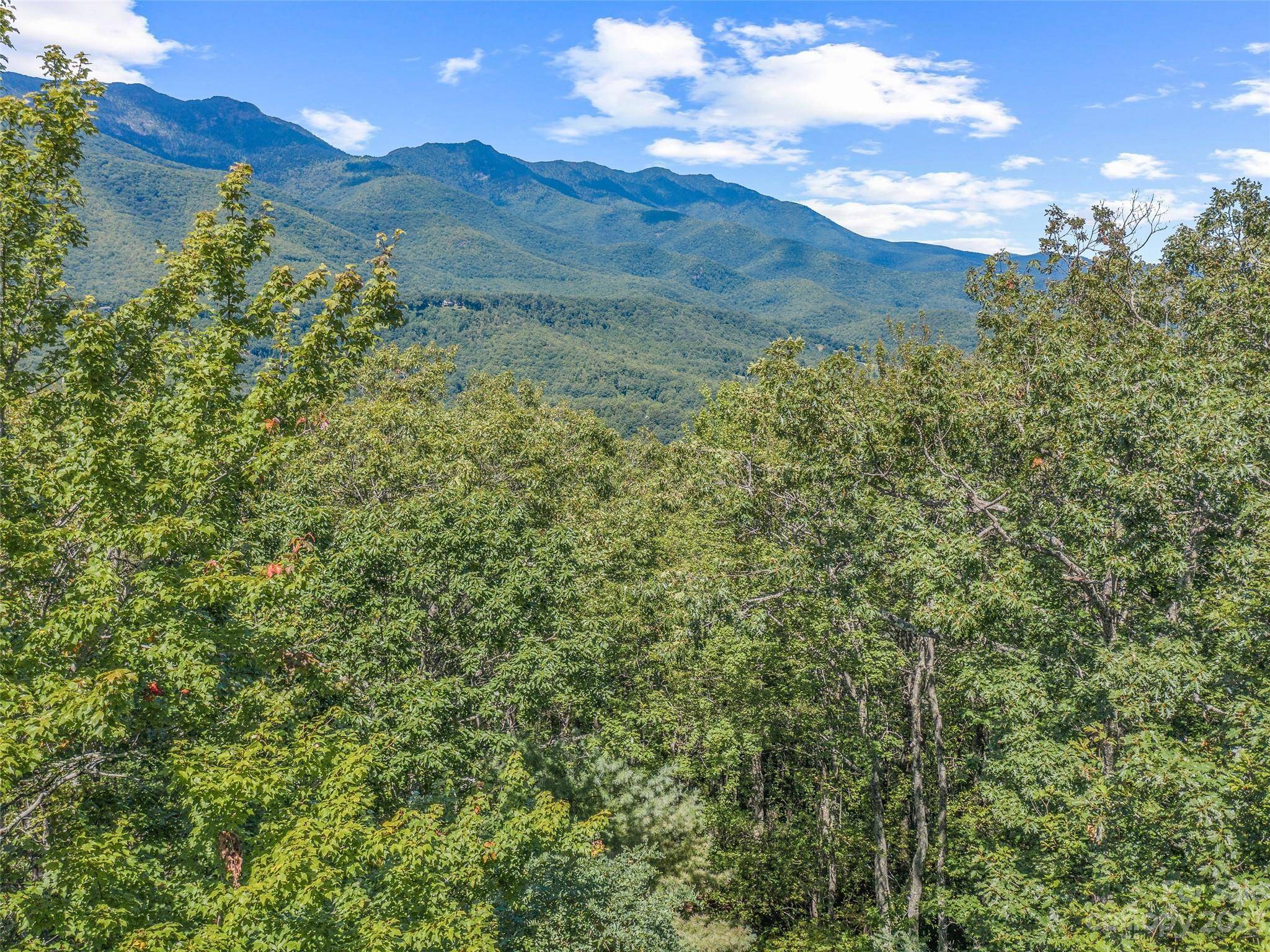 Burnsville, NC 28714,000 Winterstar LOOP #59