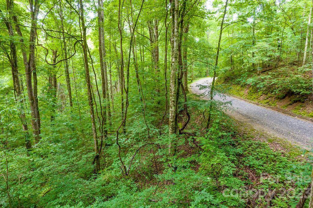 Tuckasegee, NC 28783,Lot 34 Rainbow Trout DR #34