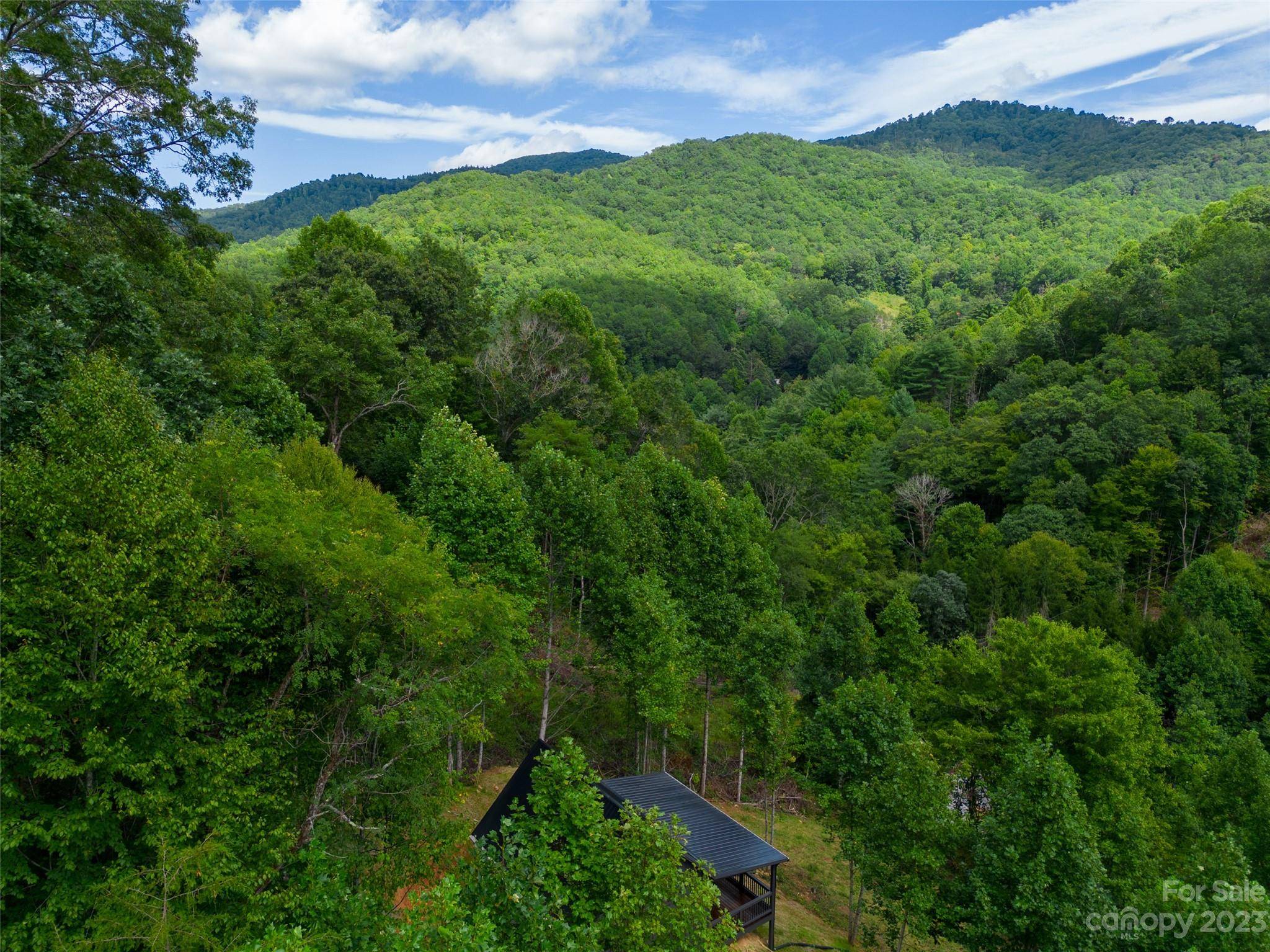 Sylva, NC 28779,176 Hog Cove RD