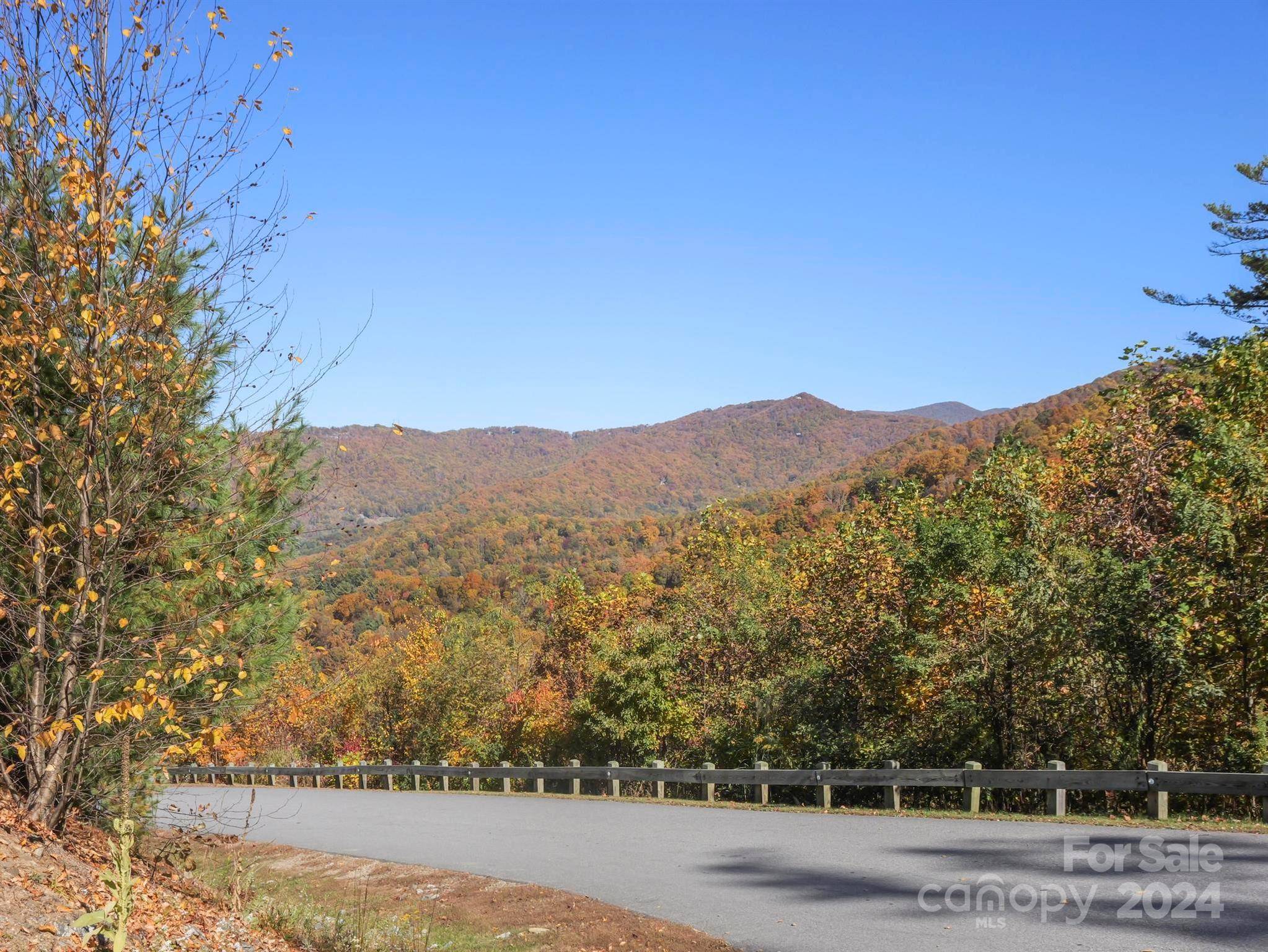 Asheville, NC 28804,78 Woodland Aster WAY #69