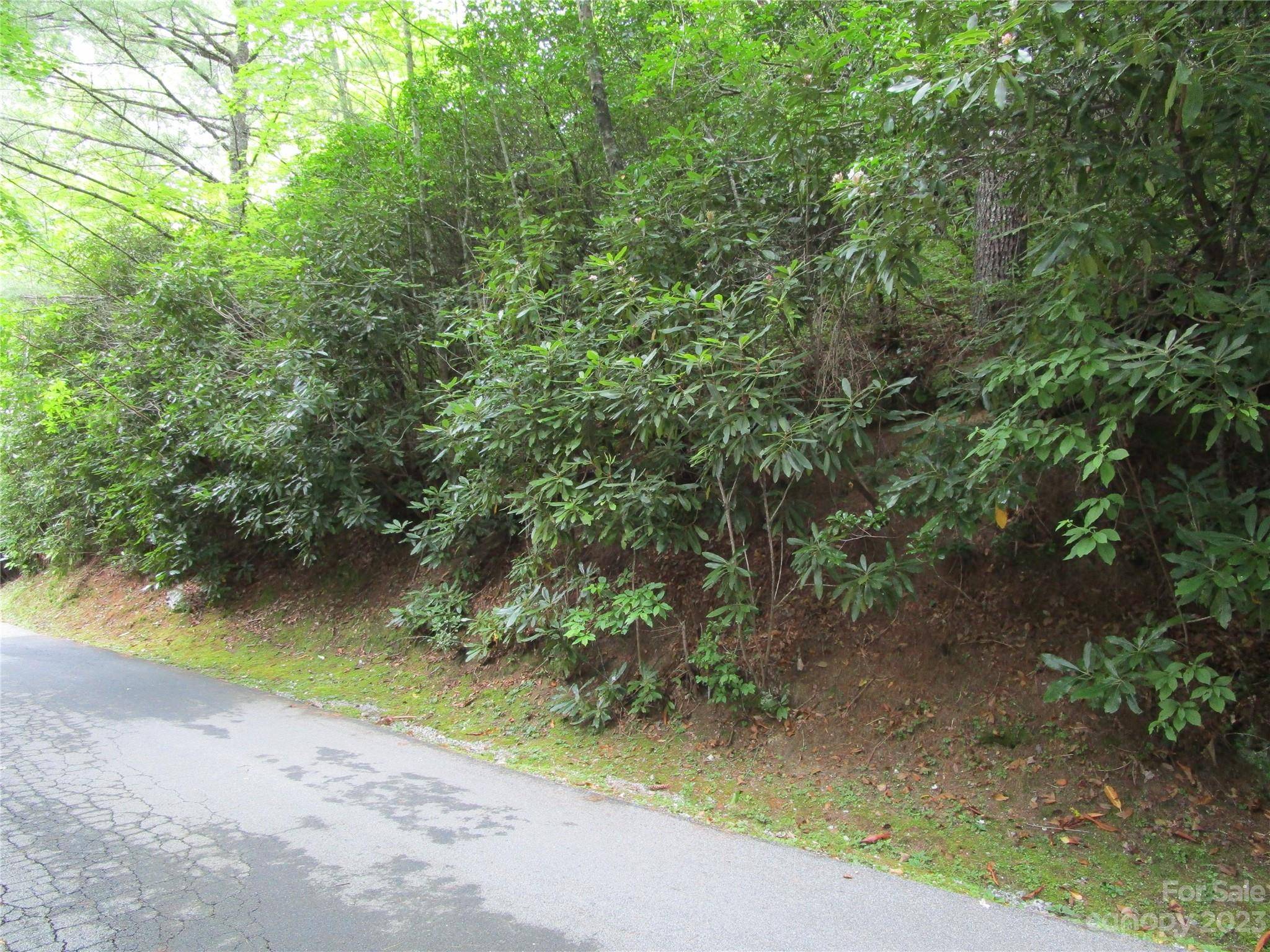 Lake Toxaway, NC 28747,TBD Indian Lake RD #31