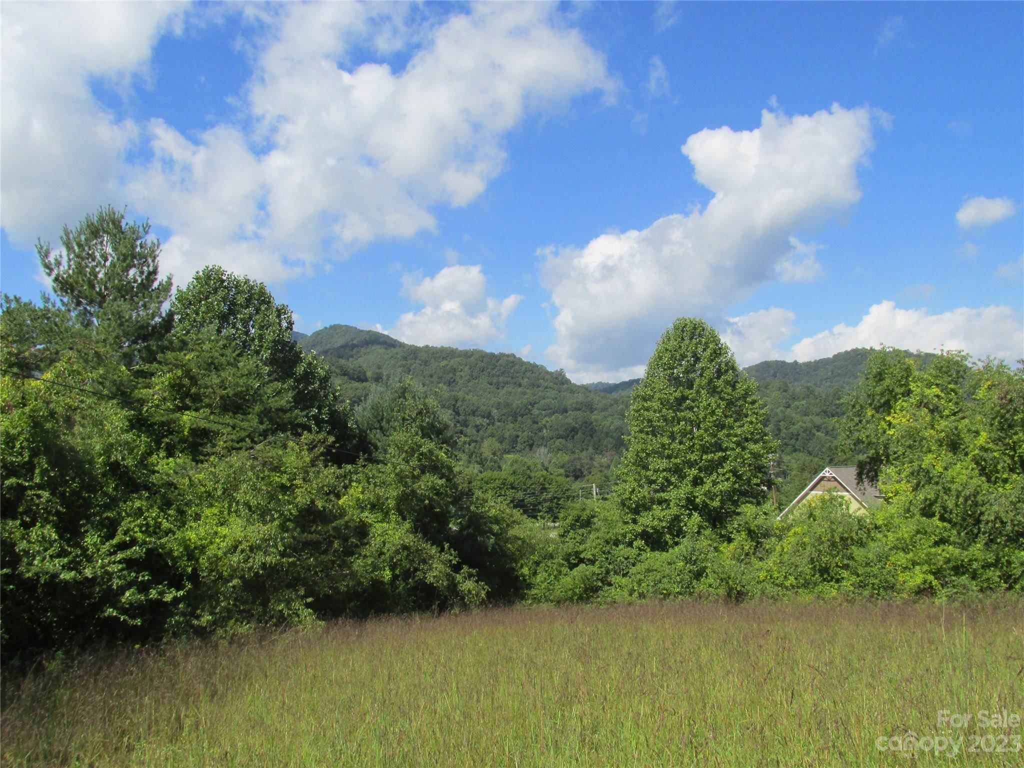 Cullowhee, NC 28723,100 Speedwell Acres RD