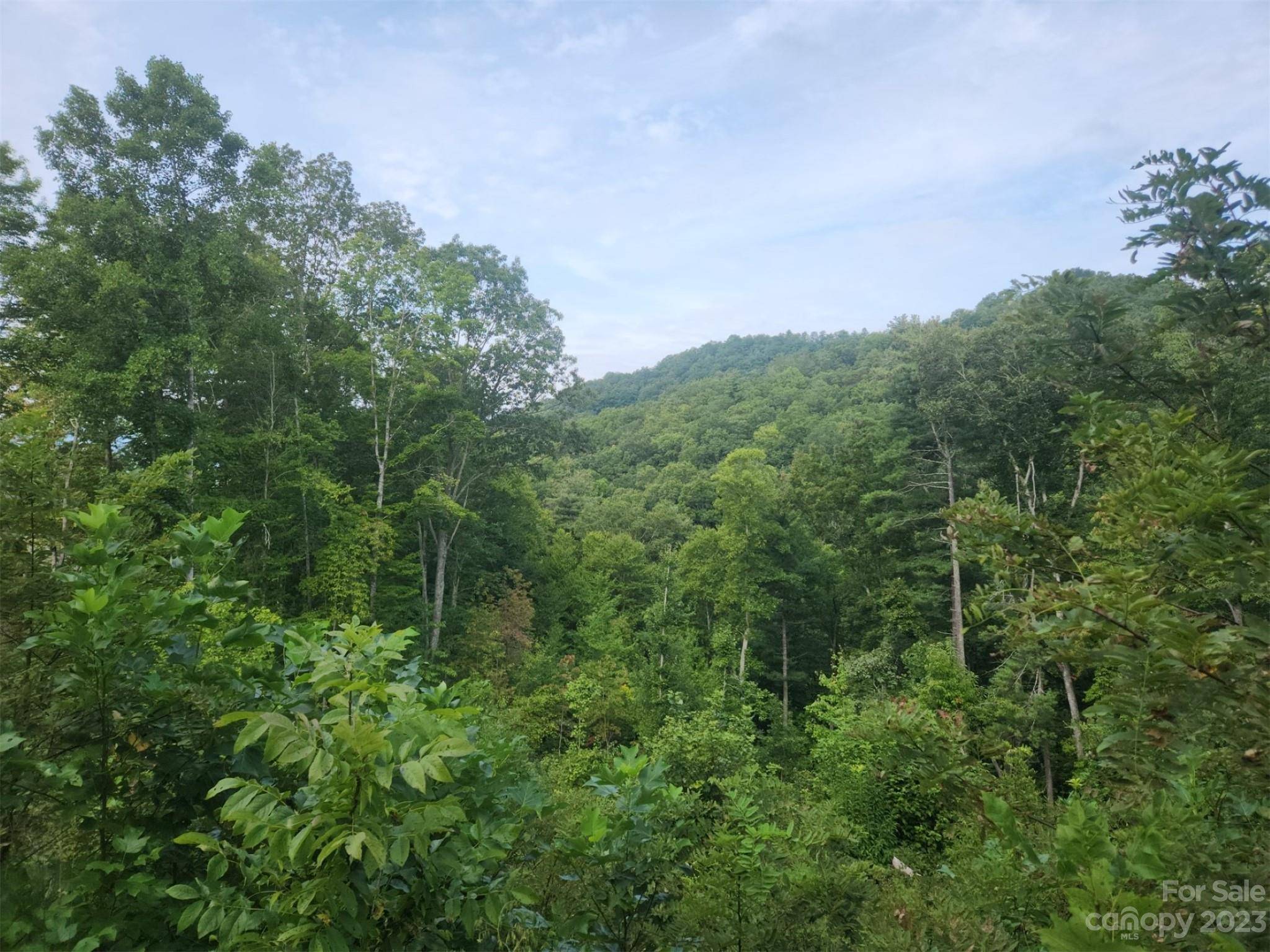 Asheville, NC 28804,7 Bent Branch LN #7