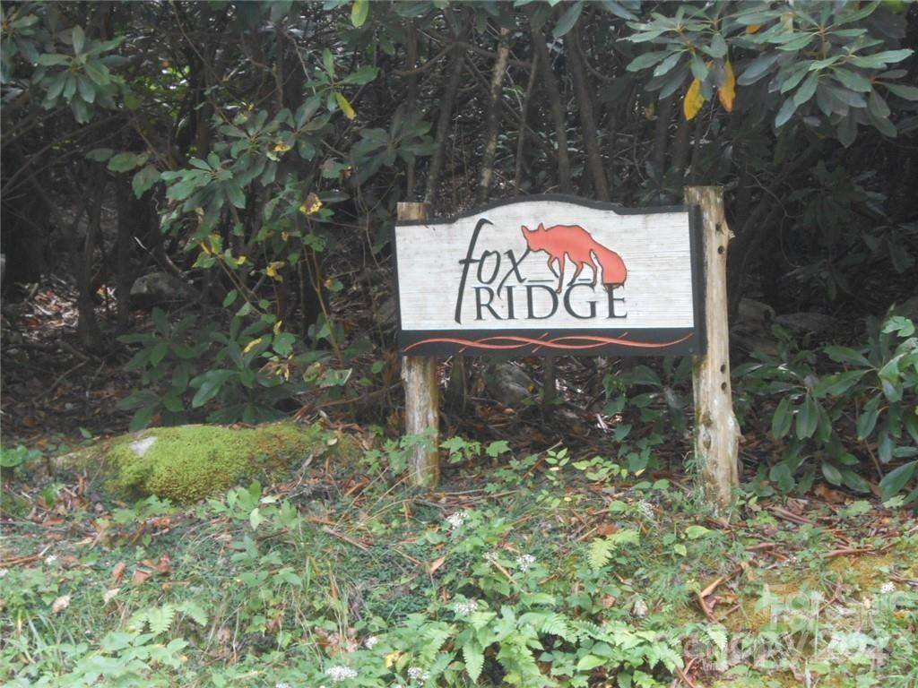 Marion, NC 28752,Lot 12 Fox Ridge TRL