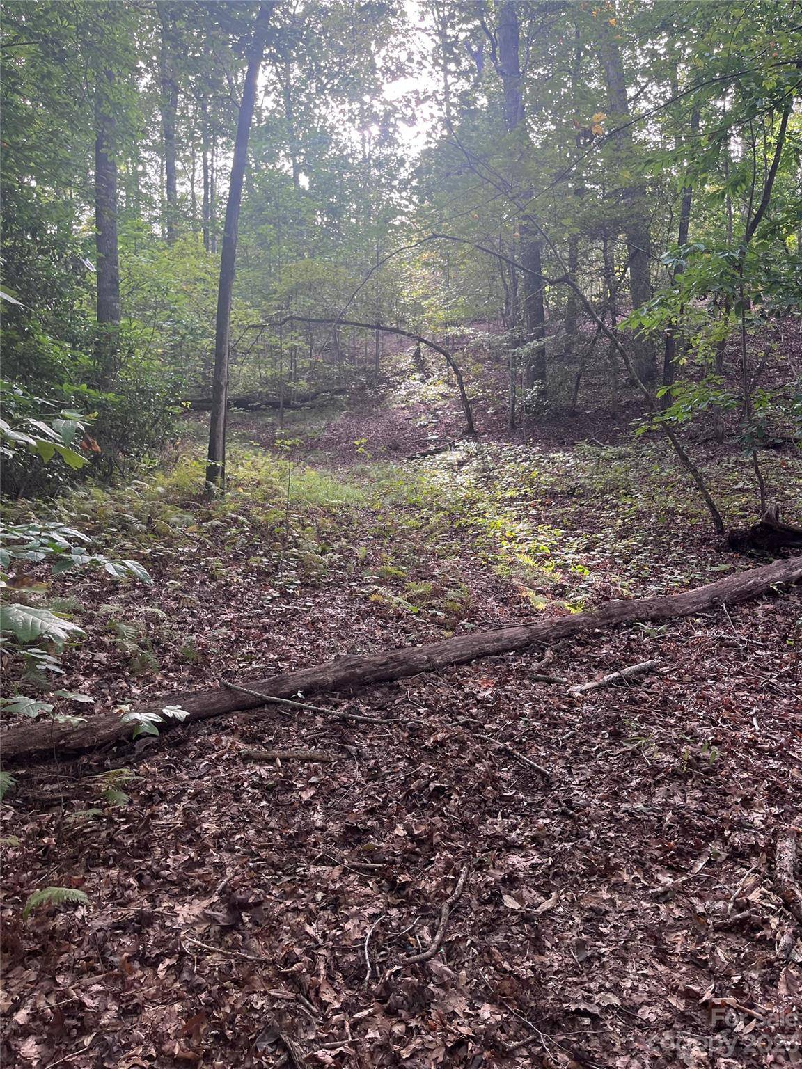 Rutherfordton, NC 28139,0 Shady Bark LN #40