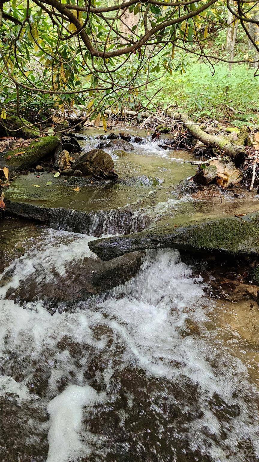 Maggie Valley, NC 28751,00 Black Camp Gap RD #26