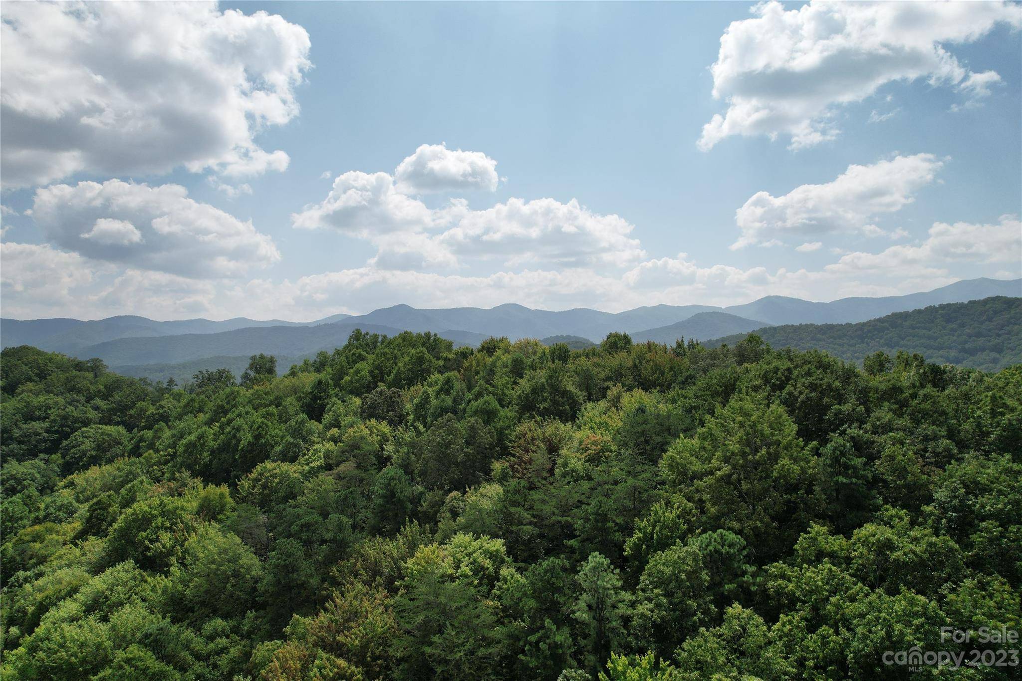 Candler, NC 28715,00000 Screech Owl DR