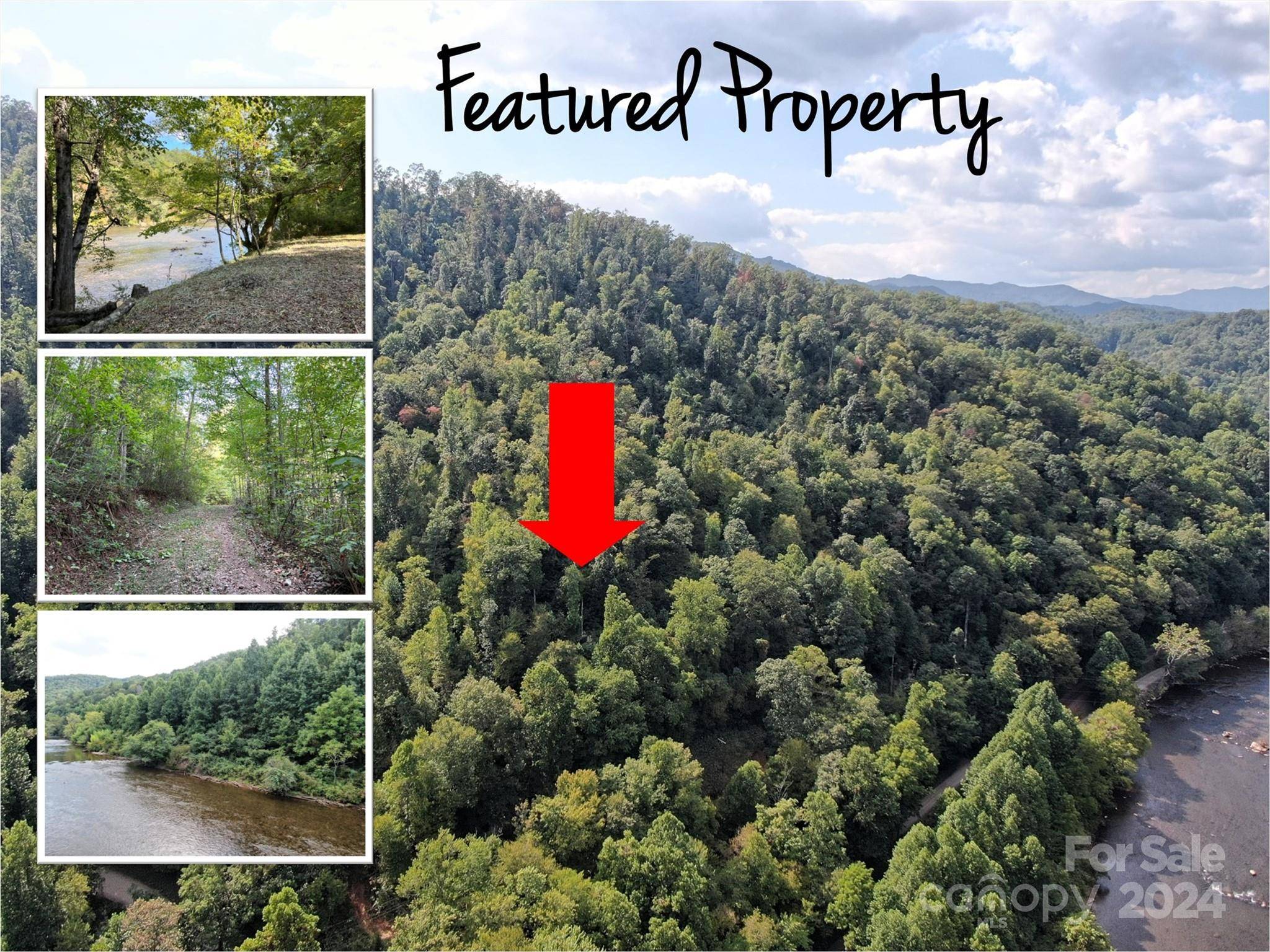 Whittier, NC 28789,0 Double Bridge RD