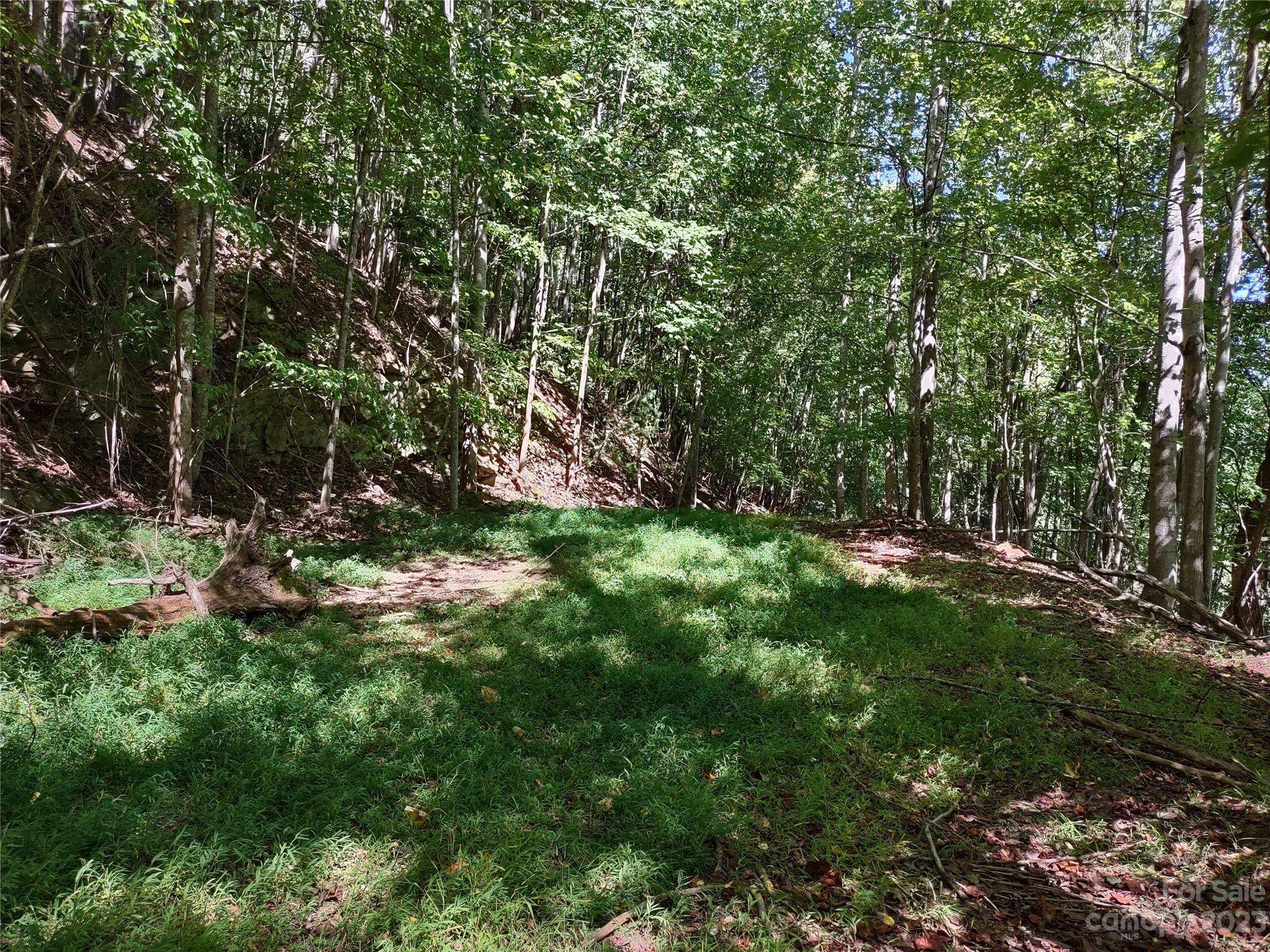 Mills River, NC 28759,99999 High Vista DR #Lot 69