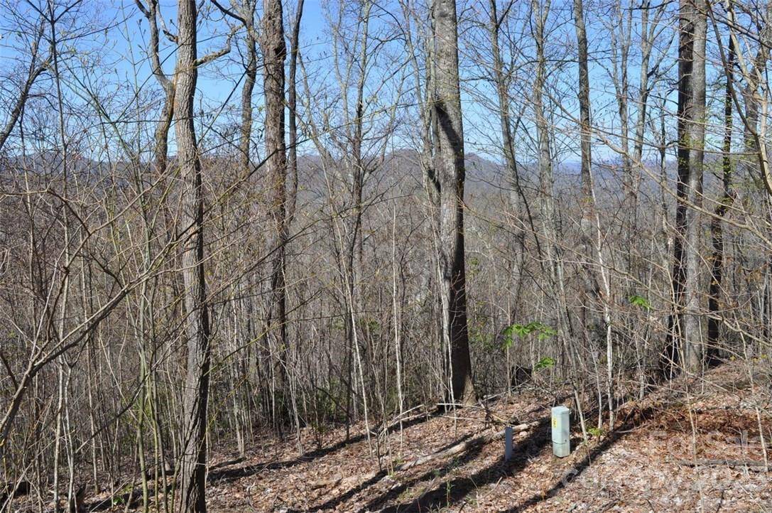 Burnsville, NC 28714,LOT 139 Rocky Knob RD