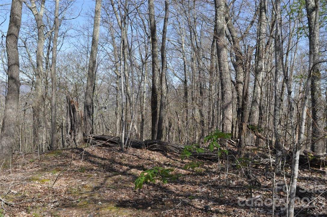 Burnsville, NC 28714,LOT 139 Rocky Knob RD