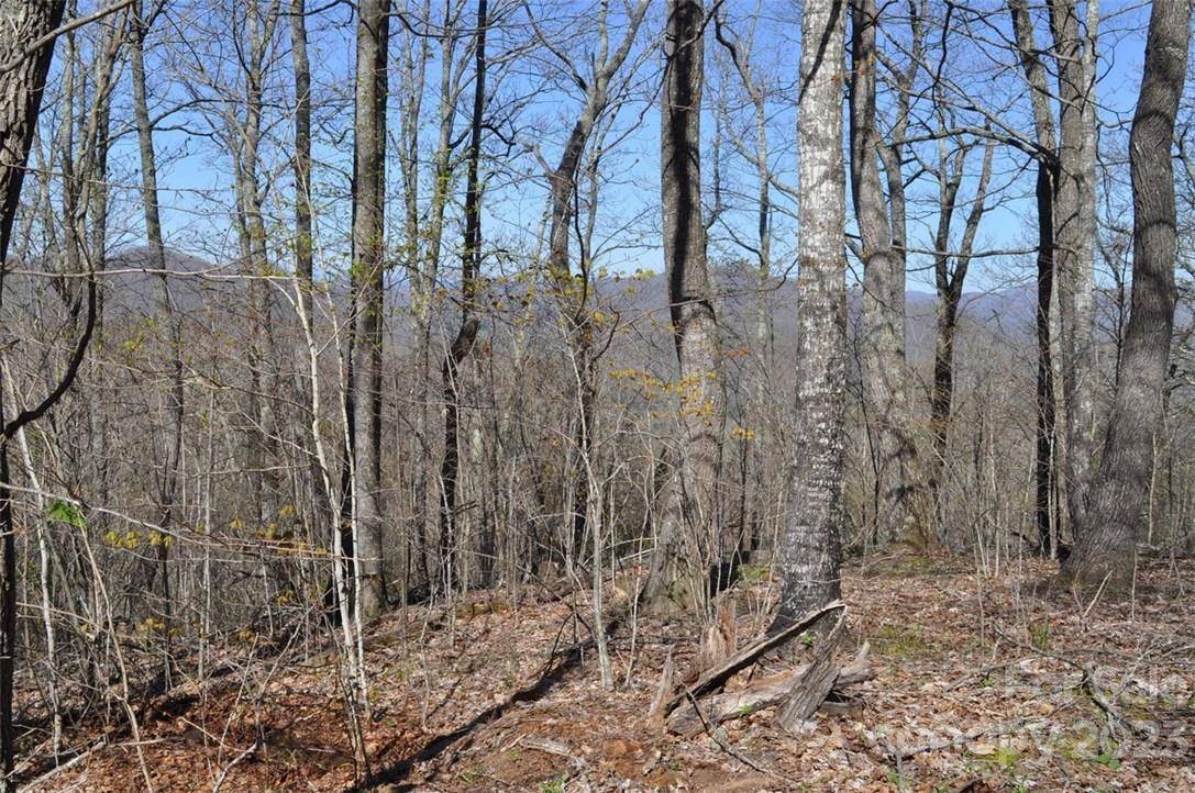 Burnsville, NC 28714,LOT 139 Rocky Knob RD