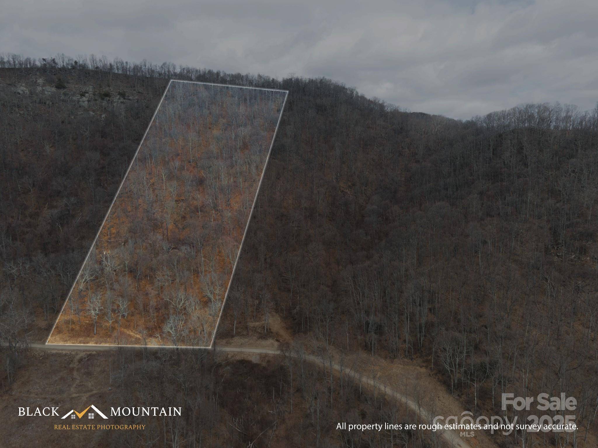Canton, NC 28716,00 High Rock View DR