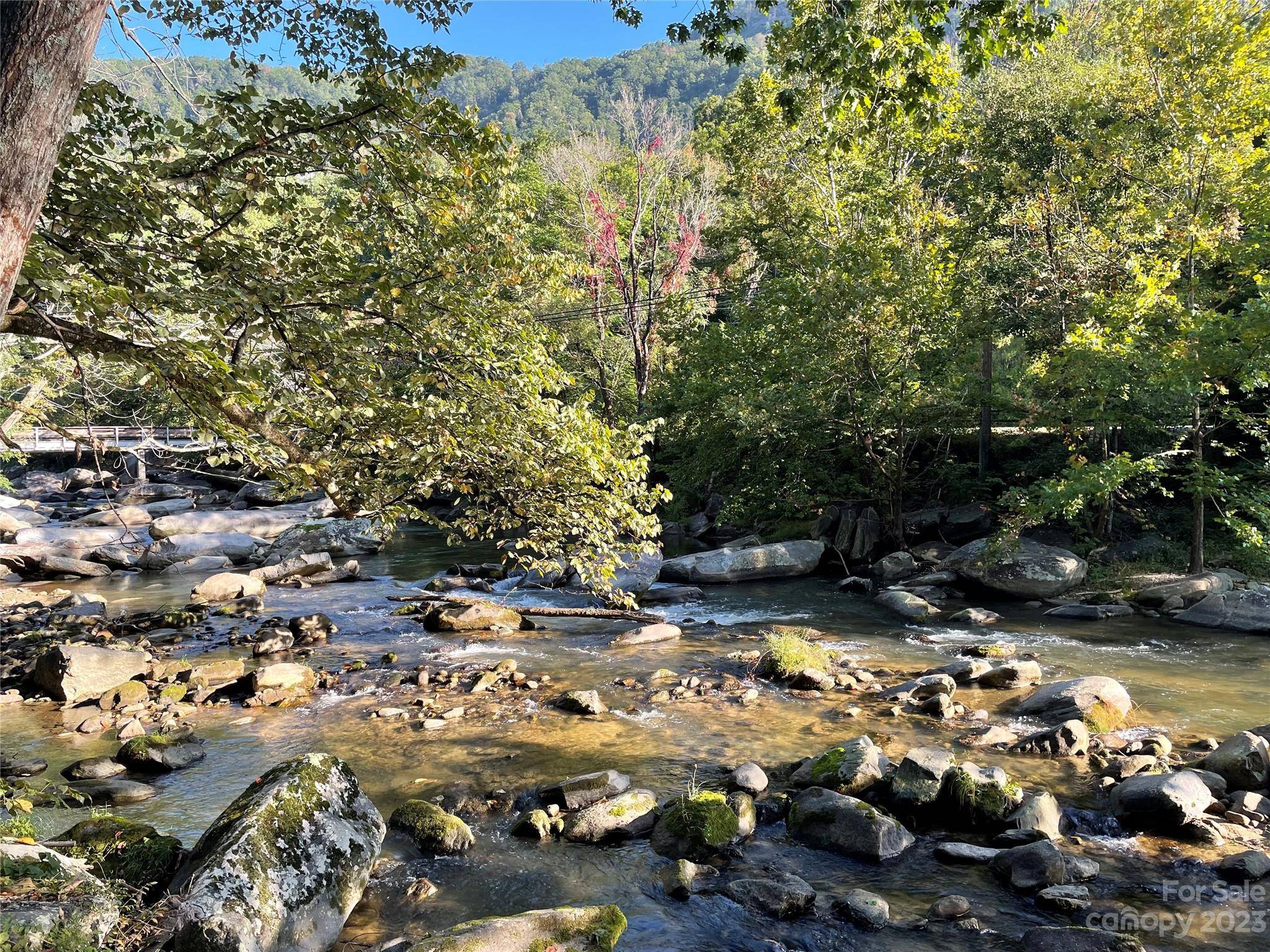 Chimney Rock, NC 28720,159 Fall Creek DR