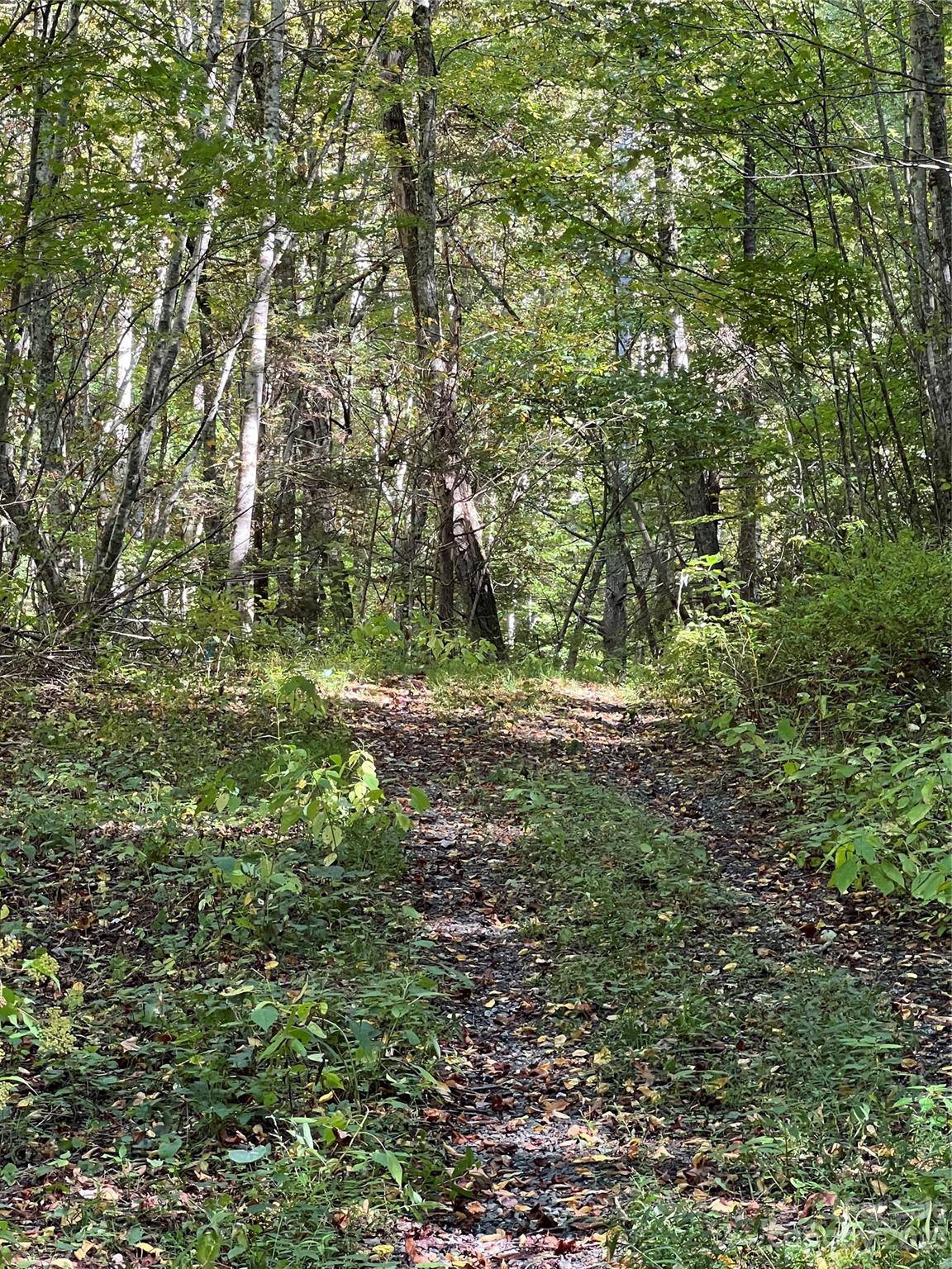 Mars Hill, NC 28754,3845 Hamburg RD