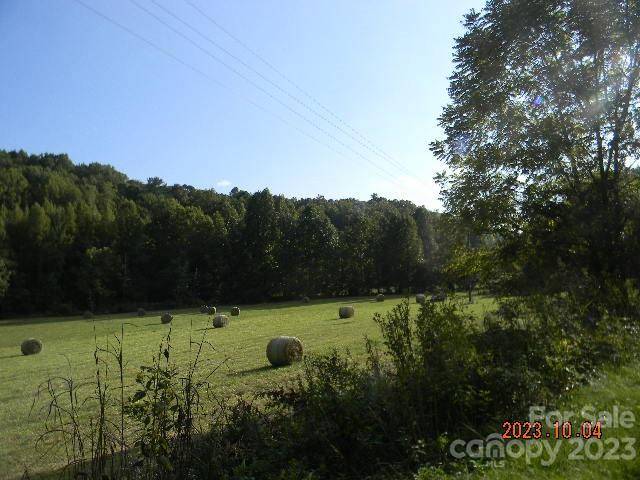 Bostic, NC 28018,0 Luckadoo Mountain RD #25D