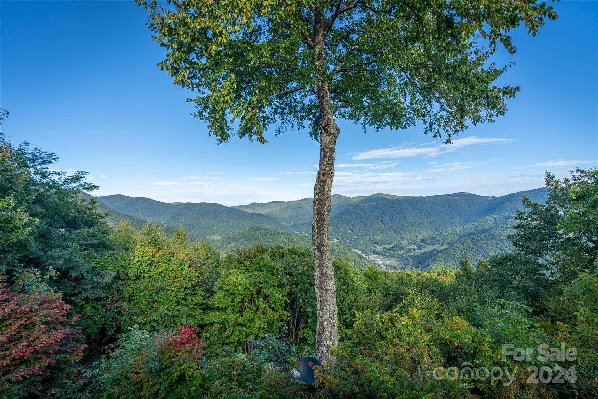 Maggie Valley, NC 28751,189 Chickadee LN