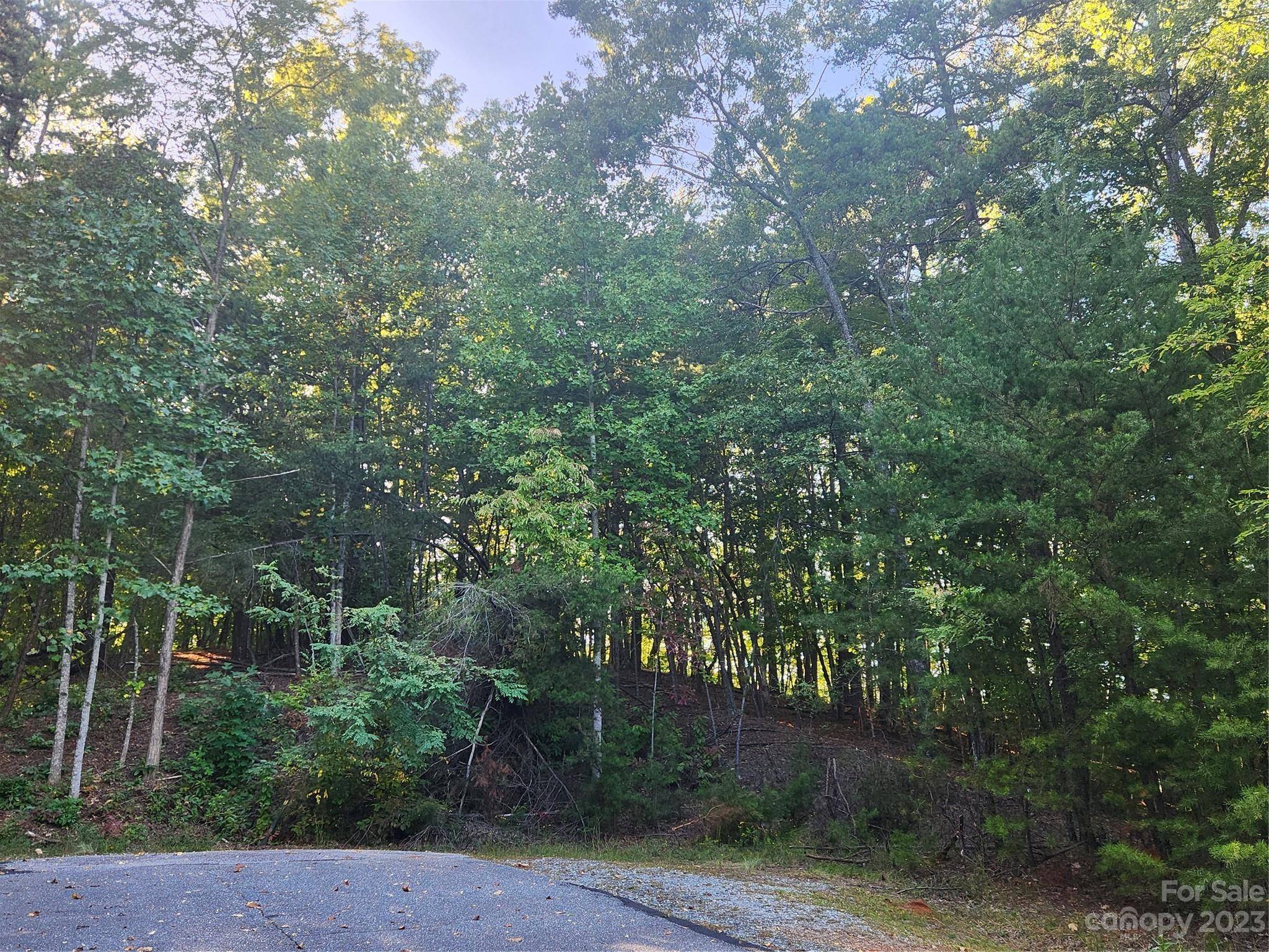 Lake Lure, NC 28746,Lot 18 Wilkerson CT