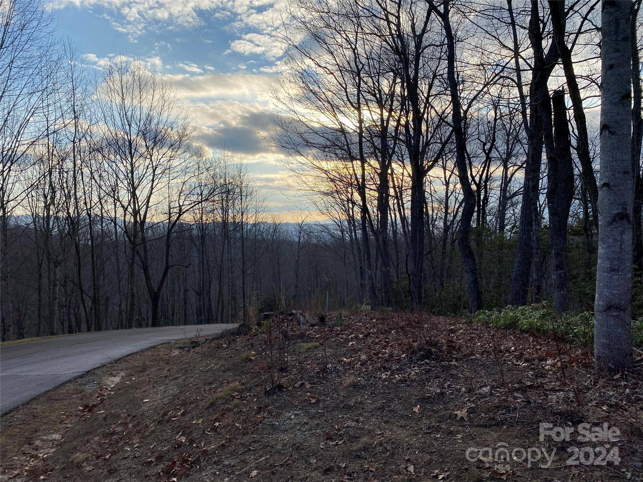 Laurel Park, NC 28739,Lot 5 Red Bud LN #5
